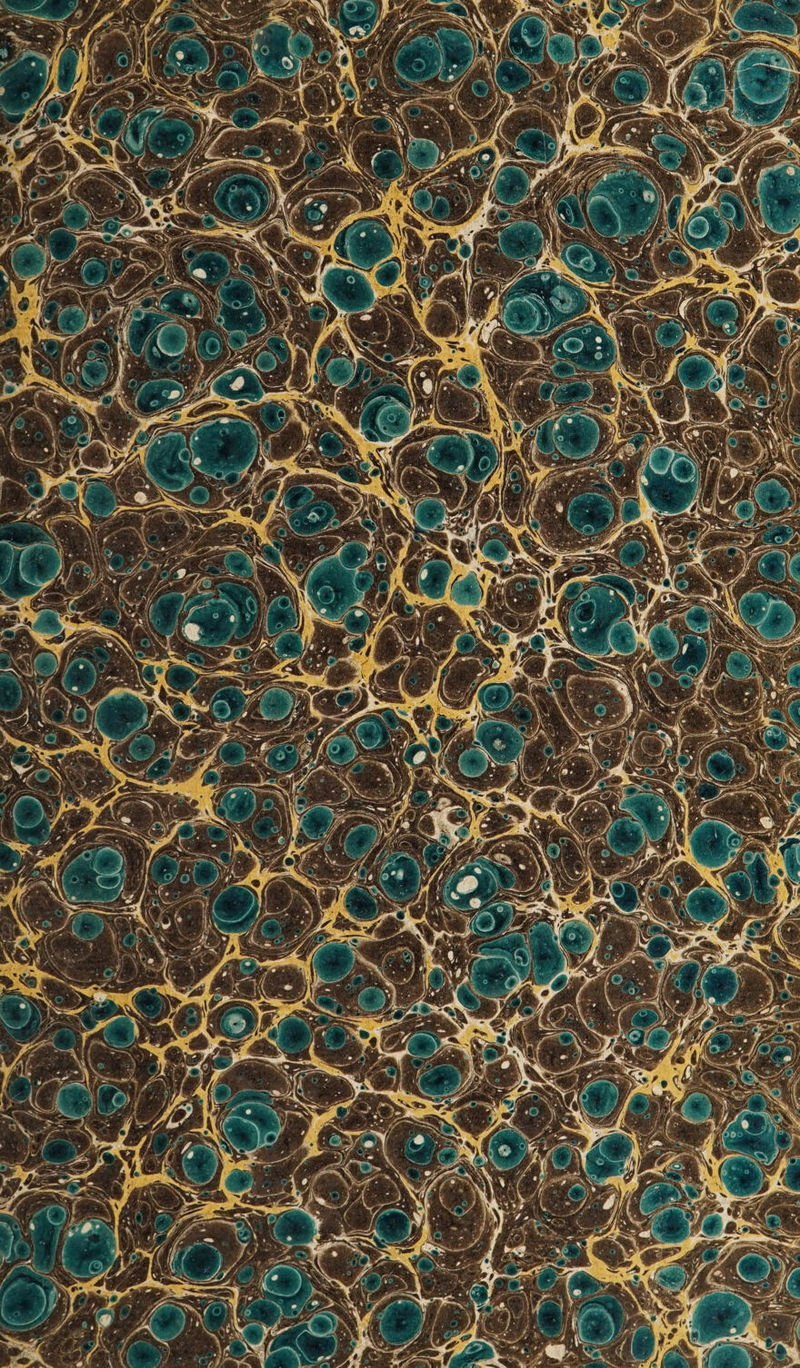 No text description is available for this image