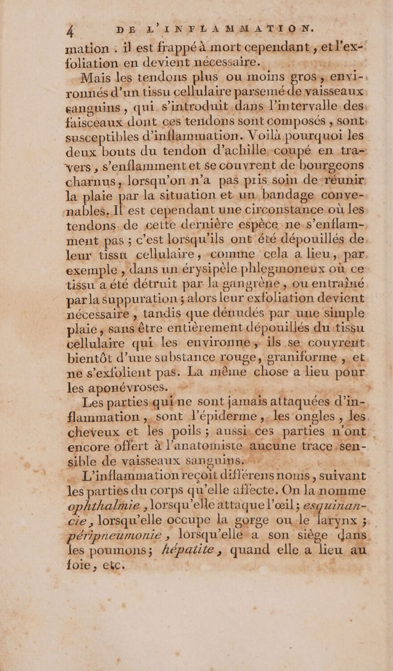 mation : il est frappé à mort cependant ;etl'ex- {oliation en devient nécessaire. CURE Mais les tendons plus ou moins gros. envi-, ronnés d’un tissu cellulaire SES 3 vaisseaux. sanguins , qui s’introduit dans l’intervalle des: faisceaux dont ces tendons sont composés , sont: susceptibles d’inflammation. Voilà pourquoi les deux bouts du tendon d’achille- coupé en tra vers , s'enflammentet $e couvrent de bourgeons charnus, lorsqu'on n’a pas pris soin de-réunir la plaie par la situation et un ‘bandage conve- nables. Il est cependant une circonstance où les. tendons. de cette dernière espèce ne.s’enflam-, ment pas ; c’est lorsqu'ils ont été dépouillés de. leur tissu cellulaire, comme cela a lieu, par. exemple , dans un érysipèle phleemoneux où ce tissu a été détruit par la gangrène , ou entraîné par la Suppuration; alors leur exfoliation devient nécessaire , tandis que dénudés par une simple plaie, sans être entièrement dépouillés du:tissu cellulaire qui les environne, ils se couyrent bientôt d’une substance rouge, graniforme et ne s’exfolient pas. La même chose a lieu pour les aponévroses. 5 ee onde 0 Les partiesiquine sont jamais attaquées d’in- flammation ,. sont l’épiderme ,, les ongles , les. cheveux et les poils ; aussices parties n’ont. encore offert à l’anatomiste, aucune trace.sen- sible de vaisseaux sanguins. SE L pe L’inflammation recoit différens noms, suivant les parties du corps qu’elle affecte. On la nomme ophthalmie , lorsqu'elle attaque l'œil ; es uinan- cie ; lorsqu'elle occupe la gorge ou;le larynx ; péripreumonie ; lorsqu'elle-a son siège qans les poumons; Lépalite, quand elle a lieu au foie , etc. | *