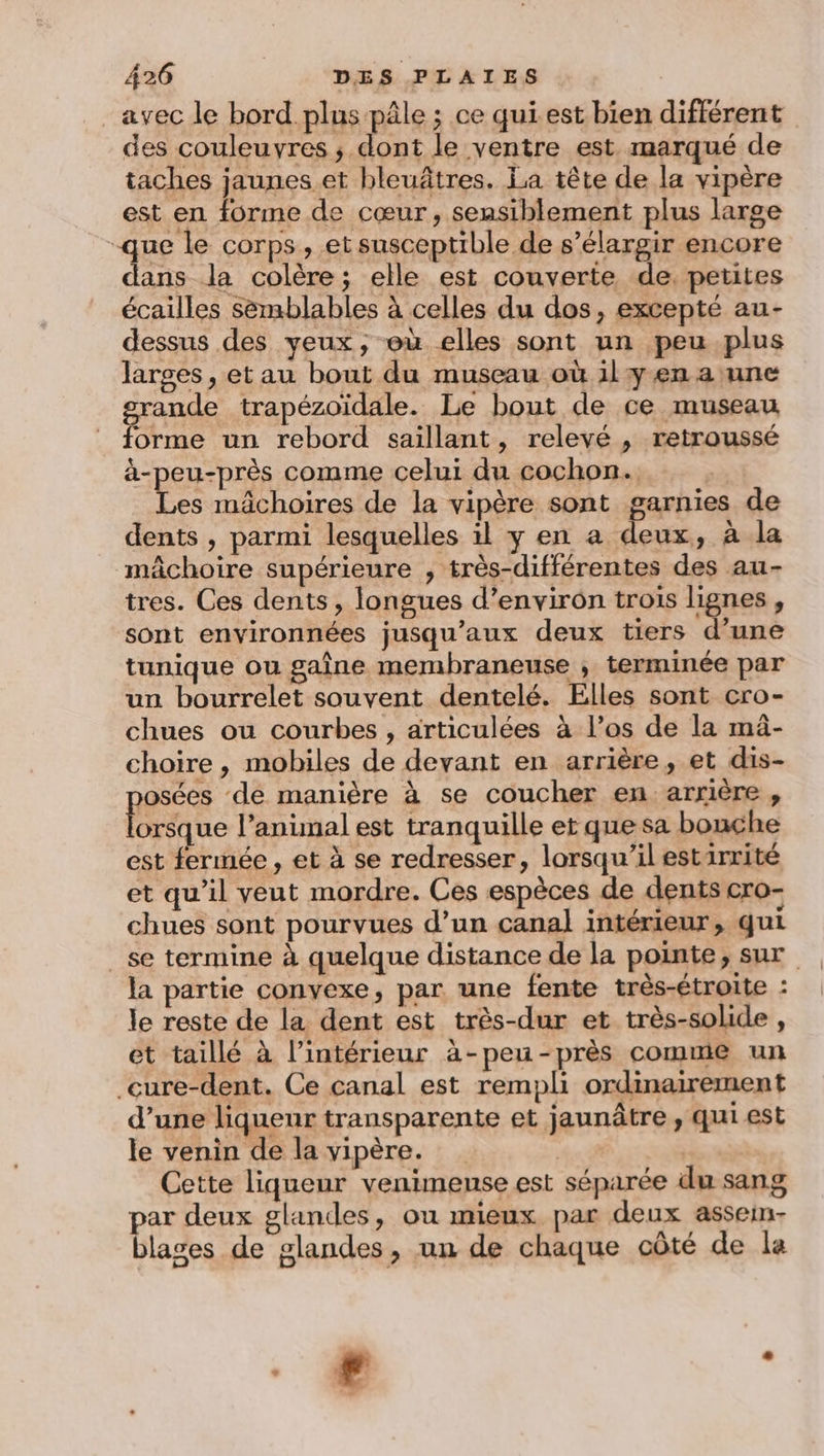 avec le bord plus pâle ; ce qui est bien différent des couleuvyres ; dont le ventre est marqué de taches jaunes et bleuâtres. La tête de la vipère est en forme de cœur, sensiblement plus large -que le corps, et susceptible de s’élargir encore dans la colère; elle est couverte de, petites écailles sémblables à celles du dos, excepté au- dessus des yeux; eù elles sont un peu plus larges, et au bout du museau où il yen a une grande trapézoïdale. Le bout de ce museau forme un rebord saillant, relevé, retroussé à-peu-près comme celui du cochon. Les mâchoires de la vipère sont garnies de dents , parmi lesquelles il y en a deux, à la mâchoire supérieure , très-différentes des au- tres. Ces dents, longues d’envirôn trois lignes, sont environnées jusqu'aux deux tiers d’une tunique ou gaîne membraneuse ; terminée par un bourrelet souvent dentelé. Elles sont cro- chues ou courbes, articulées à l’os de la mâ- choire , mobiles de devant en arrière, et dis- josées de manière à se coucher en arrière , tite l'animal est tranquille et que sa bouche est fermée , et à se redresser, lorsqu'il estirrité et qu’il veut mordre. Ces espèces de dents cro- chues sont pourvues d’un canal intérieur, qui se termine à quelque distance de la pointe, sur la partie convexe, par une fente très-étroite : le reste de la dent est très-dur et très-solide , et taillé à l’intérieur à-peñ-près comme un _cure-dent. Ce canal est rempli ordinairement d’une liqueur transparente et jaunâtre , qui est le venin de la vipère. | Cette liqueur venimense est séparée du sang par deux glandes, ou mieux par deux assein- blases de glandes, un de chaque côté de la 2 k
