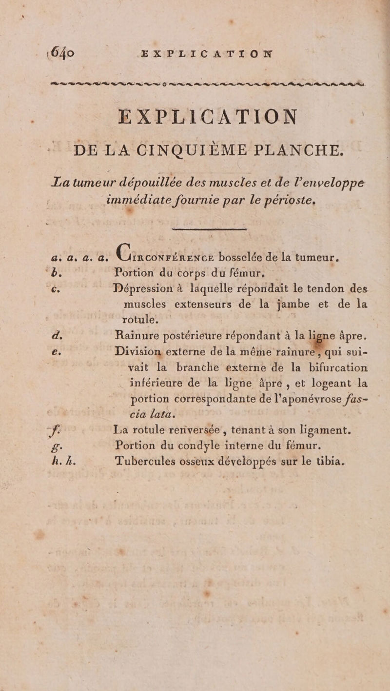 «640 EXPLICATION Re ns Sd A ES Ce US) PP PP Pt ns Pt nr EP Po PA Ps is Ps Ps Ps EXPLICATION | DE LA CINQUIÈME PLANCHE. La tume 5 dépouillée des muscles et de l'enveloppe immédiate fournie par le périoste, * a 4 0. DEAR bosselée de la tumeur. ‘8. Portion du corps du fémur. és Dépression à liquelle répondaït le tendon des muscles extenseurs de la jambe et de la rotule. d. Raïnure postérieure répondant à la ligne âpre. e. Division externe de la même rainure”, qui sui- vait la branche externe de la bifurcation inférieure de la Ligne âpre , et logeant la portion correspondante de l’aponévrose fas- cia lata. “fe La rotule renversée , ténant à son ligament. £: Portion du condyle interne du fémur. h. À. Tubercules osseux développés sur le tibia.
