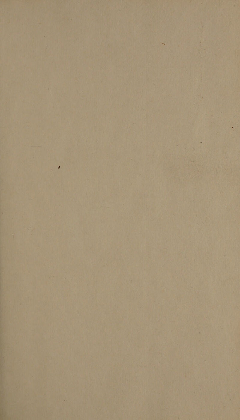 nee 14 # r Arf Ft WnEr tu DE ALU 1 Duty? d LULU y 1