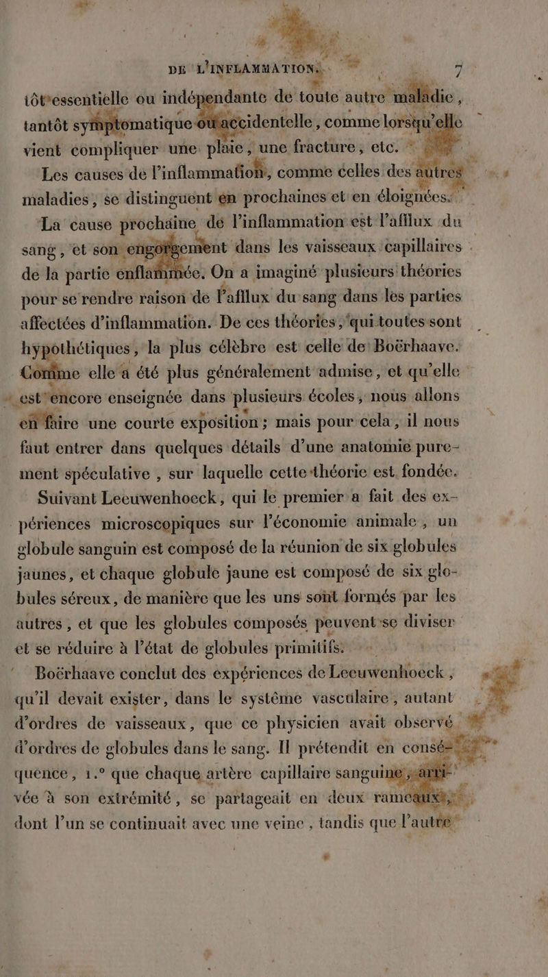 di: |: gt à DE L'INFLAMHATION. UPS 7 “ endante dé toute autre se. ct écidentelle, comme lors) e iôt'essentielle ou indé tantôt syfhptomatique où vient compliquer une vies une fracture, etc. * Les causes de l taflammatol, comme celles des ét tres maladies , se distinguent en prochaines et'en éloignées: La cause prochaine dé l’inflammation est l’afflux du sang , Et son €I r OEC ment dans les vaisseaux capillaires de la Pre enfla née. a 7. pr ton affoëttés d'inflation Deces thortés ; quitoutes sont hypothétiques , la plus célèbre est celle de’ Boërhaave. Conime elle a été plus généralement admise, et qu elle + est sélléore enseignée dans plusieurs écoles , nous allons en fhire une courte exposition ; mais pour cela , il nous faut entrer dans quelques détails d’une anatomie pure- ment spéculative , sur laquelle cette théorie est fondée. Suivant Leeuwenhoeck, qui le premier a fait des ex- périences microscopiques sur l’économie animale, un slobule sanguin est composé de la réunion de six globules jaunes, et chaque globule jaune est composé de six glo- bules séreux, de manière que les uns sont formés par les autres , él que les globules composés peuvent:se diviser et se réduire à l’état de globules primitifs. © Boërhaave conclut des expériences de Lecuwenhoeck , qu'il devait exister, dans le système vasculaire , autant d'ordres de vaisseaux, que ce physicien avait observé rh d'ordres de globules dans le sang. Il prétendit en consé fé 4 quence, 1.° que chaque artère capillaire sanguine ;sà : | vée à son extrémité, se partageait en deux ramcæ dont lun se continuait avec une veine , tandis que l’autre #