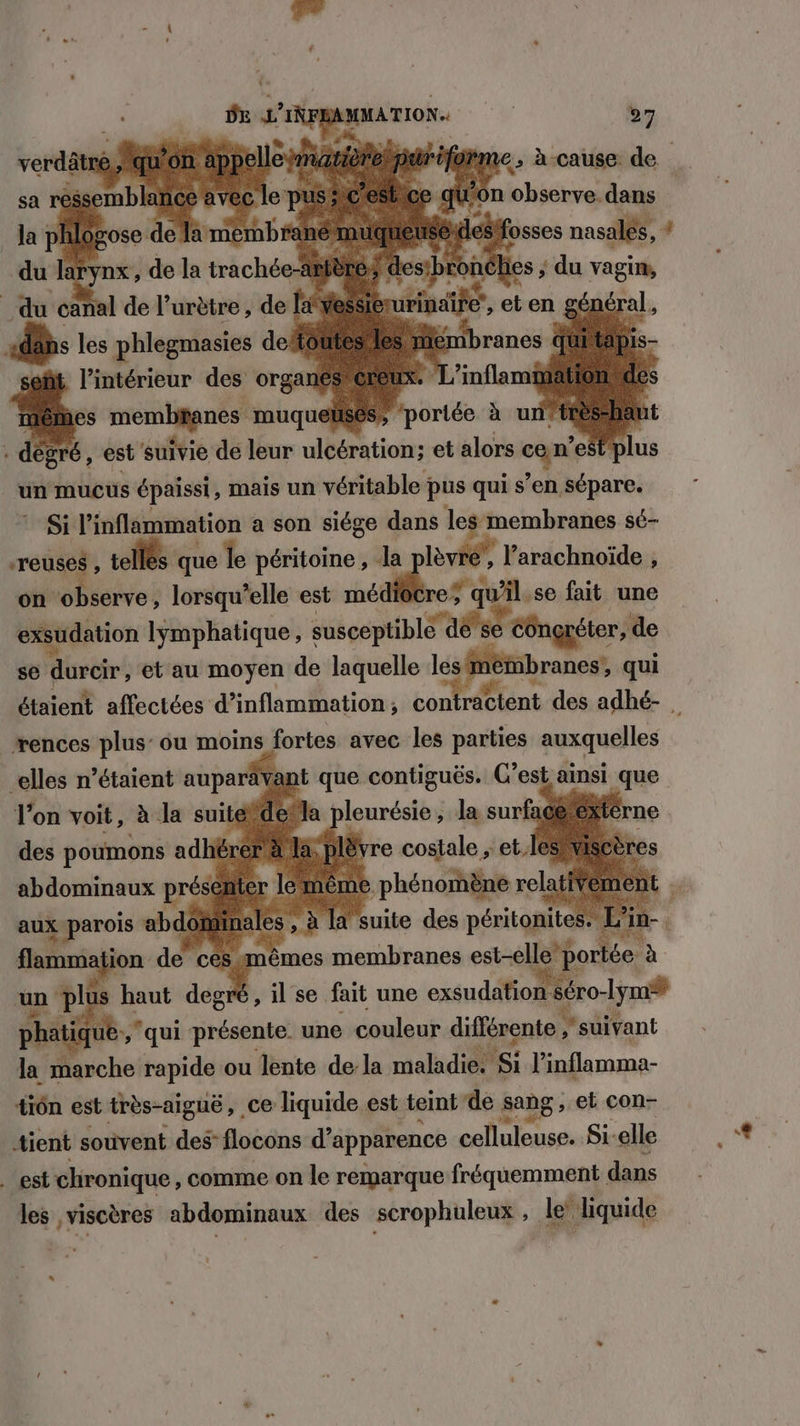 use lesfosses sa Ld | esbr Cie L raté, . dèg é, est suivie de leur nlbéitiots: et alors con cs un mucus épaissi, mais un véritable ; pus qui s’en sépare. Si l’inflimmation a son siége dans ‘4 membranes sé- mr. 4 telles qu que le péritoine , a l’arachnoïde , on observe, lorsqu'elle est ver v < ÿ qu'il.se fait une exsudation lymphatique, susceptiblé 48's6 éôngréter, de se sé et'au moyen de laquelle les‘mémbranes:, qui étaient affectées d’inflammation ; D 7 des adhé- _rences plus’ ou moins fortes avec les parties auxquelles “elles n’étaient auparävant que contiguës. Cest ainsi | que l’on voit, à la suite) 1: pleurésie , la surface’e des poumons ad} a, plë e costale ; et.le abdominaux prése le ne phénomène: relat ue ES A SE r aux rois abdot , à la suite des péitates x flammation de ces mêmes membranes est-elle portée à un plus haut degré , il se fait une exsudation Séro-Iyrn% phati qui présente. une couleur différente ;” suivant la che rapide ou lente de la malidiest linflamma- tiôn est très-aiguë, ce liquide est teint de sang, ; et con- tient souvent des flocons d'apparence celluleuse. Si: elle . est chronique, comme on le remarque fréquemment dans les ,viscères abdominaux des scrophuleux ; x Je: liquide ”