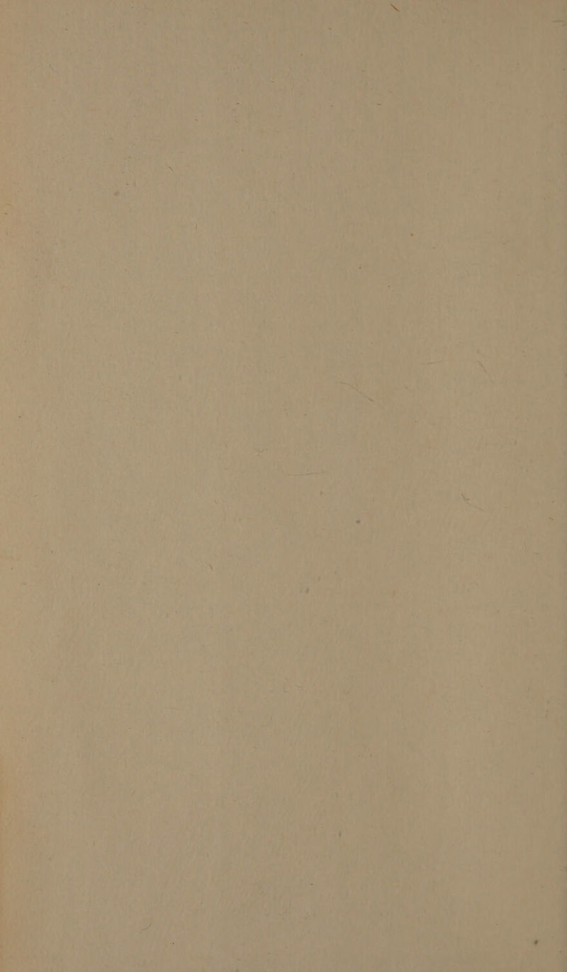 + w 1% > } \ fta FA u RAS NFtei rs 4e ES, F' ;