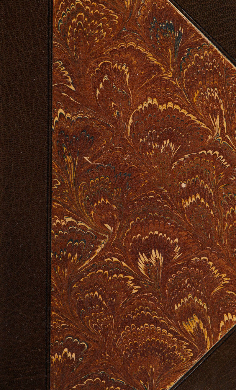 No text description is available for this image