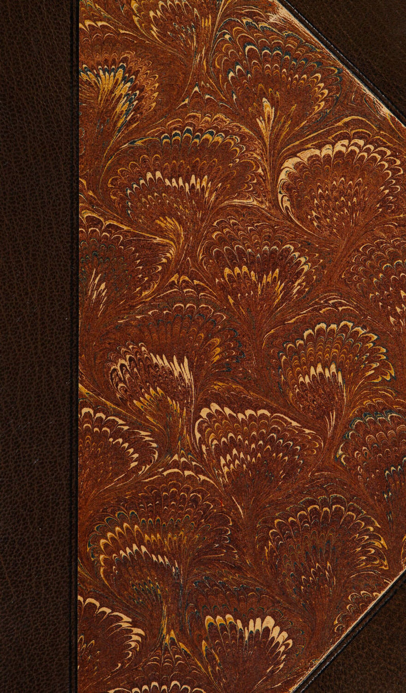 NE ts = _ Eee a menu Ye * = RER A4 F7 CAS PHP £