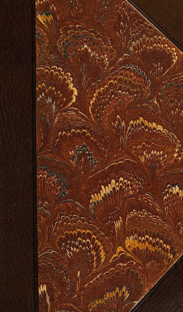 digitised image 1
