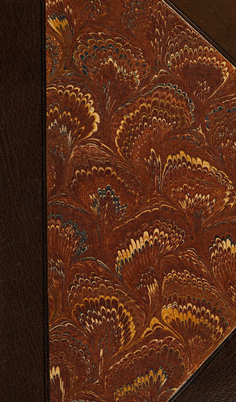 No text description is available for this image