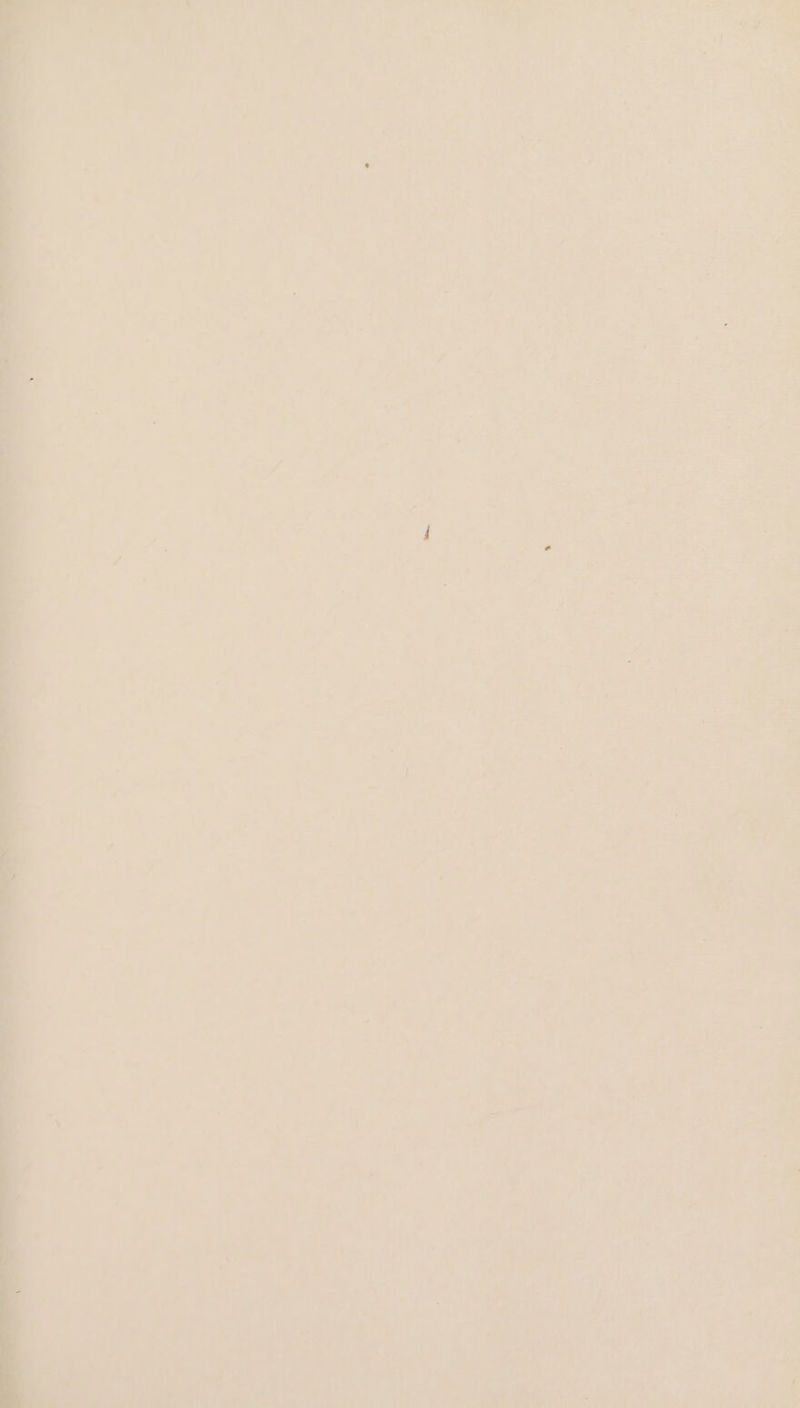 US aide ÿ AR MER CL TAN ire Piel us