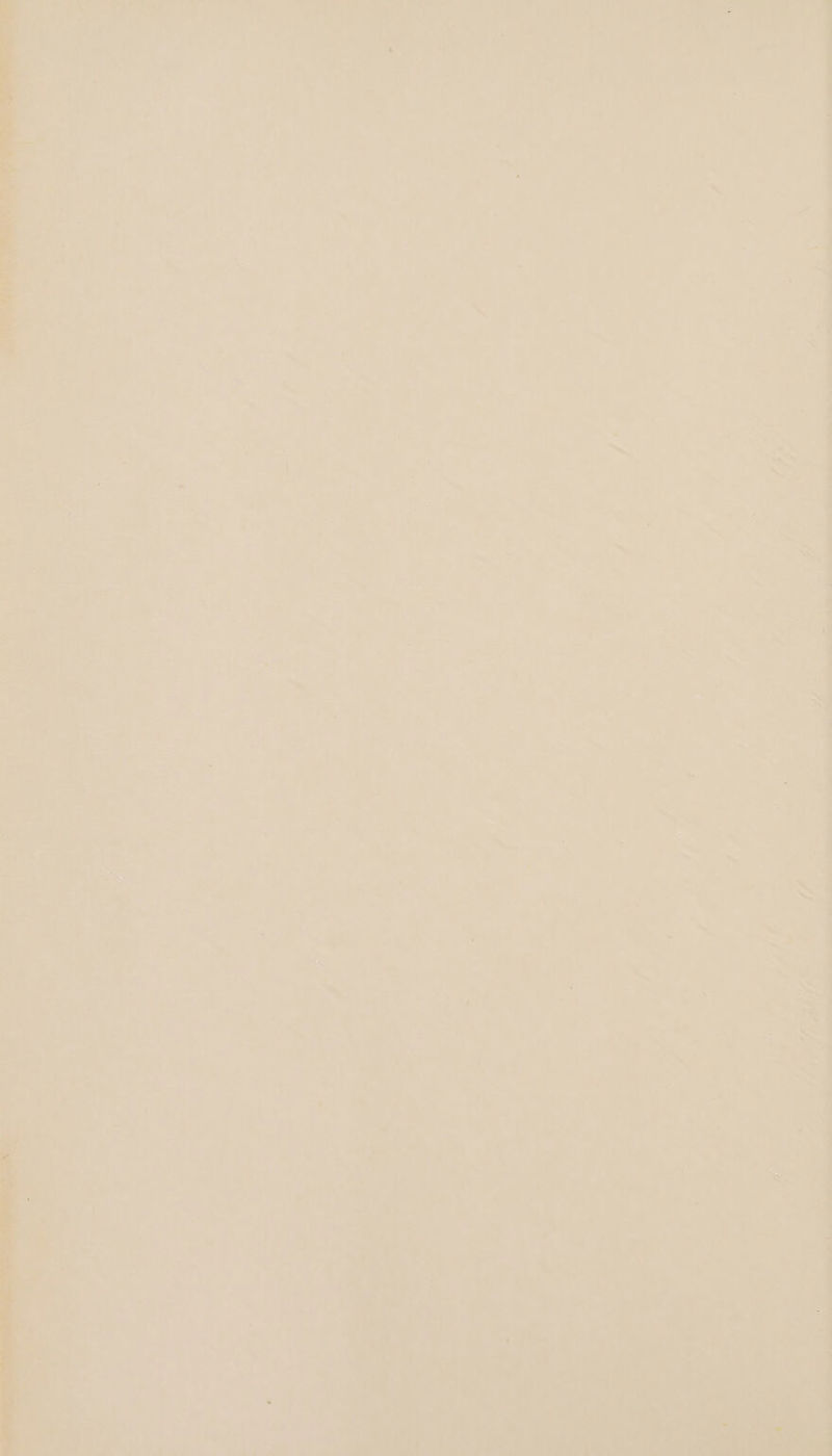 ja > = à | < ae 4 # AT Ü A