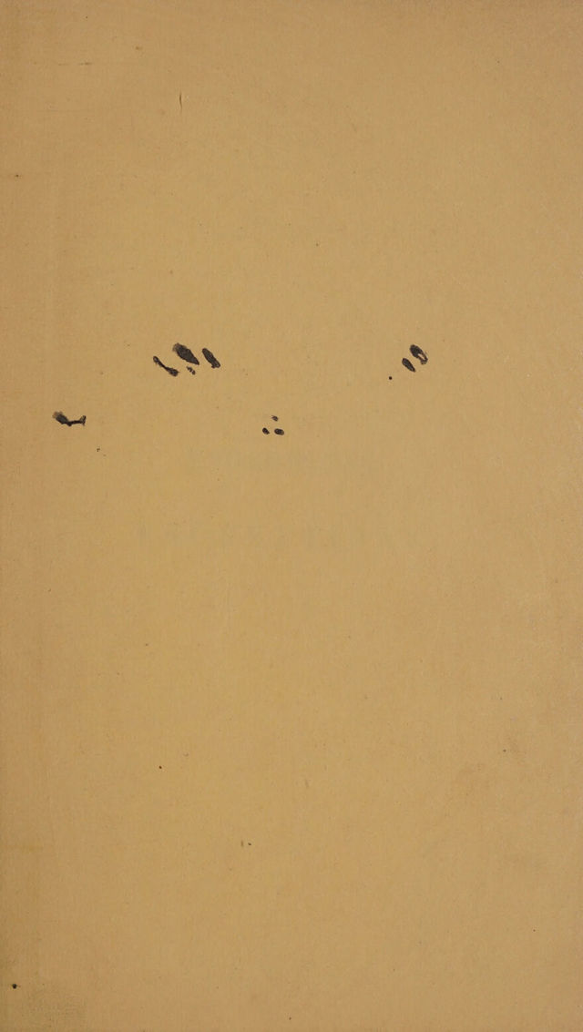 digitised image 3