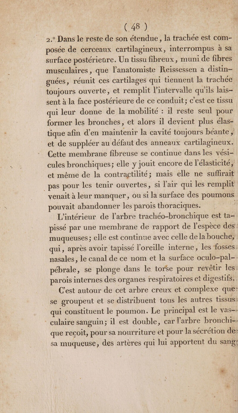 | (48) posée de cerceaux cartilagineux, interrompus à sa surface postérieure. Un tissu fibreux, muni de fibres musculaires, que l’anatomiste Reissessen a distin- guées, réunit ces cartilages qui tiennent la trachée toujours ouverte, et remplit l'intervalle qu'ils lais- sent à la face postérieure de ce conduit; c'est ce tissu qui leur donne de la mobilité : il reste seul pour former les bronches, et alors il devient plus élas- tique afin d'en maintenir la cavité toujours béante ; Cette membrane fibreuse se continue dans les vési- cules bronchiques; elle y jouit encore de l'élasticité, et même de la contractilité; mais elle ne suflirait _pas pour les tenir ouvertes, si l'air qui les remplit venait à leur manquer, ou si la surface des poumons pouvait abandonner les parois thoraciques. j. qui, après avoir tapissé l'oreille interne, les ‘fosses: nasales, le canal de ce nom et la surface oculo-pal-: pébrale, se plonge dans le torse pour revêtir les: parois internes des organes respiratoires et digestifs. C’est autour de cet arbre creux et complexe que: se groupent et se distribuent tous les autres tissus: qui constituent le poumon. Le principal est le vas. * culaire sanguin; il est double, car l'arbre bronchi-- que recoit, pour sa nourriture et pour la sécrétion de: sa muqueuse, des artères qui lui apportent du sang?