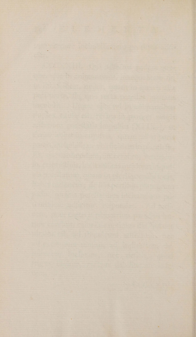 2835 4.9 mi o em 7w SEDES: ; Re «o an MEA. pap E Ede Sacs iacu SR OE Ac ay £o eod vor ligi. | ta d Dipl OM M RGGRAA am nsi IP m, Lom NOn 1-4 ch MCA ml -— dt^ vd quini M E