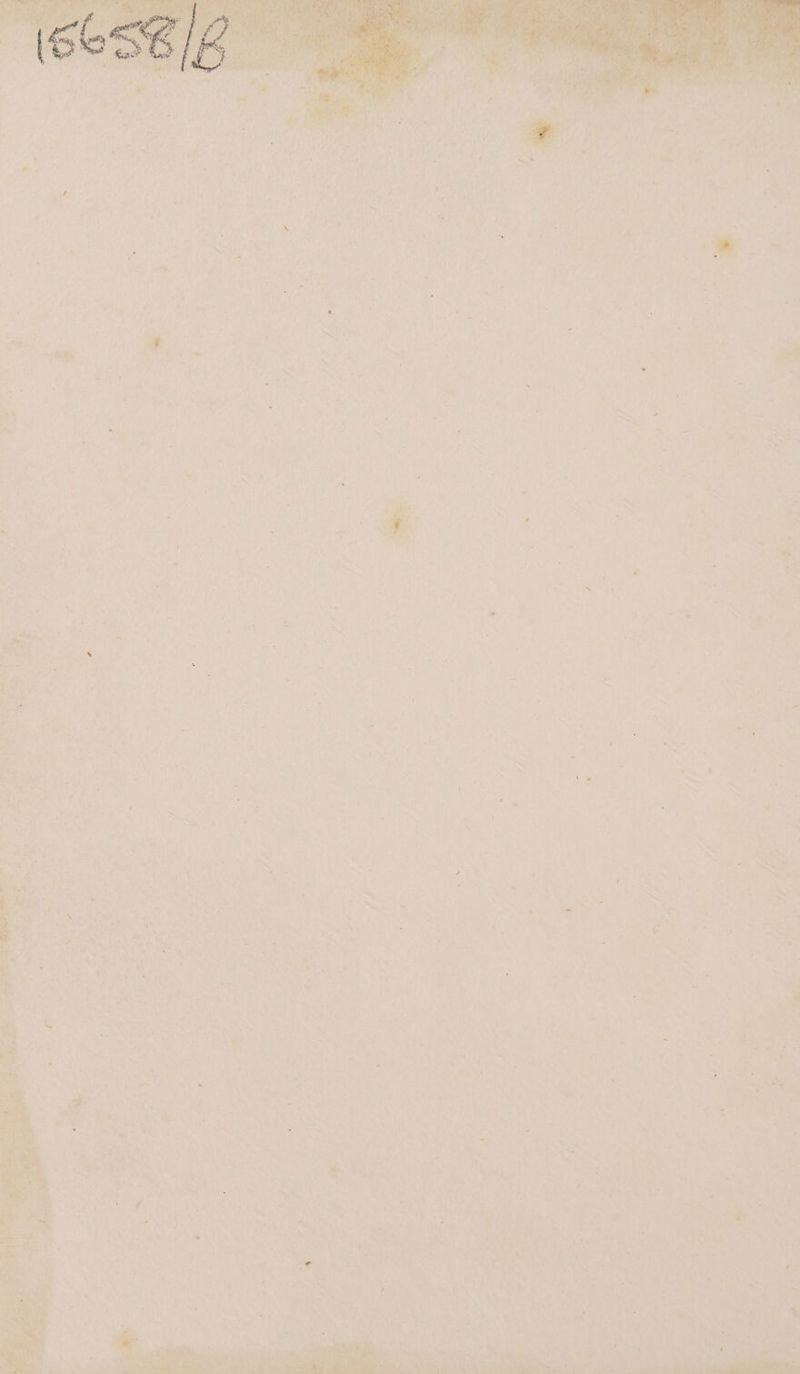 t A (< a . ? é . M “< ae 3 _ a ~ . - < ! eS i - c% : 5 4 M ; a . a Cope . & . . ¢ ~” are ? ‘ . « 3 = i a 2 ” st 5 - - 7 s 5 . ‘ : ‘ > . A 4 . wk ee 4 Z , ~~ 2 \ 5 By : j i - - 7 + — . . ; * % , m aoe % 2 ie at = fe ~S ¥ hy - s . * F % < 1 ', < = ss > * ~ * ‘ A . . _ 7 2 j é, * = ri? ’ ae * ~. - mas “ 2 : ’ ~