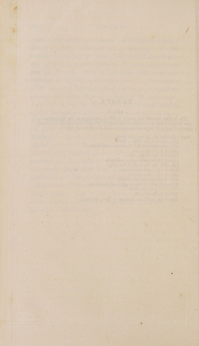 + alain: oe phate Teas ae ‘bitoote eat By “i Pea a . 4 eta aes) ert) > besiege Se» ES es