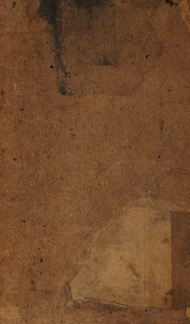 No text description is available for this image