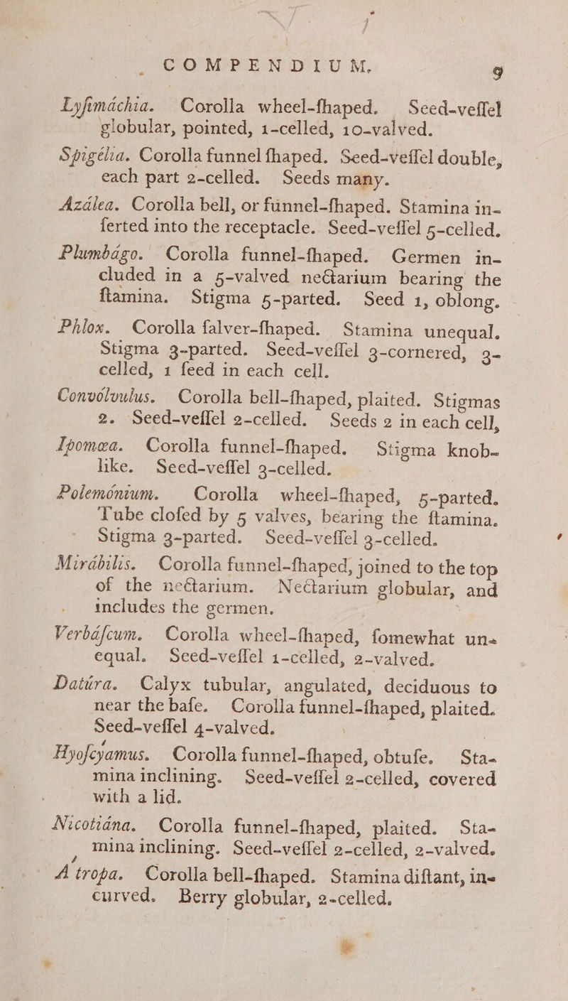 } COMPENDIUM, 9 Lyfimachia. Corolla wheel-fhaped. _ Seed-veffel globular, pointed, 1-celled, 10-valved. Spigéla. Corolla funnel fhaped. Seed-veffel double, each part 2-celled. Seeds many. __ Azalea. Corolla bell, or funnel-fhaped. Stamina in- ferted into the receptacle. Seed-veffel 5-celled. Plumbago. Corolla funnel-fhaped. Germen in- cluded in a 5-valved neGtarium bearing the ftamina. Stigma 5-parted. Seed 1, oblong. Phlox. Corolla falver-fhaped. Stamina unequal. Stigma 3-parted. Seed-veffel 3-cornered, 2- celled, 1 feed in each cell. Convolvuius. Corolla bell-thaped, plaited. Stigmas 2. Seed-vellel 2-celled. Seeds 2 in each cell, Ipomea. Corolla funnel-fhaped. tigma knob- like. Seed-veffel 3-celled. : Polemonium. Corolla wheel-fhaped, 5-parted. Tube clofed by 5 valves, bearing the ftamina. Stigma 3-parted. Seed-veffel 3-celled. Mirabils. Corolla funnel-fhaped, joined to the top of the nectarium. Neétarium globular, and includes the germen. 7 ; Verbafcum. Corolla wheel-fhaped, fomewhat un- equal. Seed-veffel 1-celled, 2-valved. Datura. Calyx tubular, angulated, deciduous to near the bafe. Corolla funnel-fhaped, plaited. Seed-veflel 4-valved. . | Hyofcyamus. Corolla funnel-fhaped, obtufe. Sta- mina inclining. Seed-veffel 2-celled, covered with a lid. Nicotiana. Corolla funnel-fhaped, plaited. Sta- ; mina inclining. Seed-veffel 2-celled, 2-valved. A tropa. Corolla bell-fhaped. Stamina diftant, ins curved. Berry globular, 2-celled, *