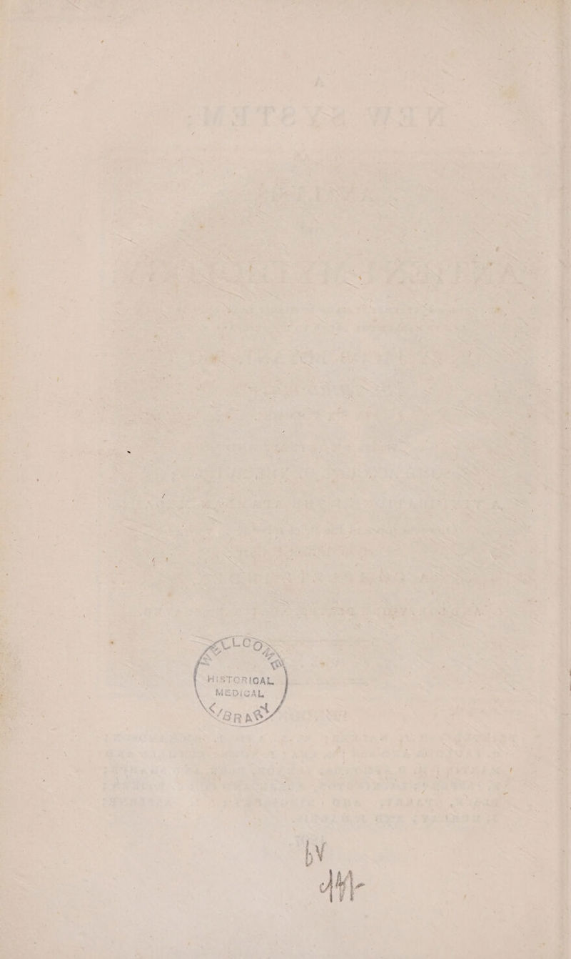 7 a? . roe ek. : _ Ped gi c af = | as, 7 - ~ x , Saye ~~) cL Soo eae ue ees