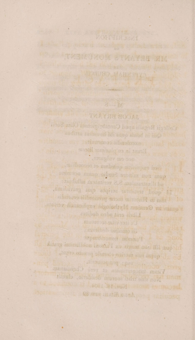 >. ‘ . : . =e 4s i ‘ fi el * * = ag: ~ ' ° ra + “ ih as Riou ' + 4 . , 7 4 < : ae : : er ty + ; a of “ ; Ky 1, ‘> F ’ % j