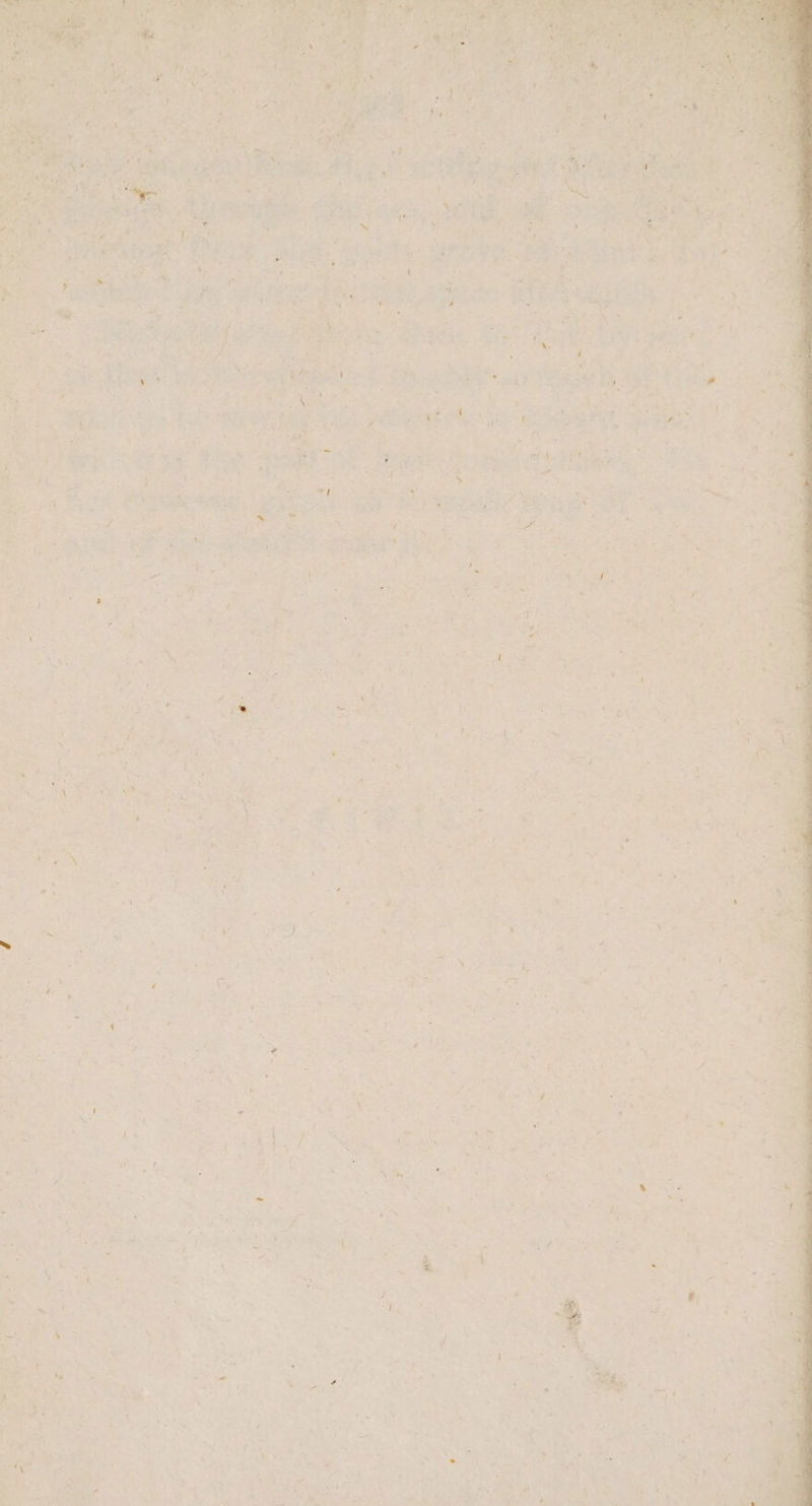 ‘ . “an, BE f eS BR SG eS ~