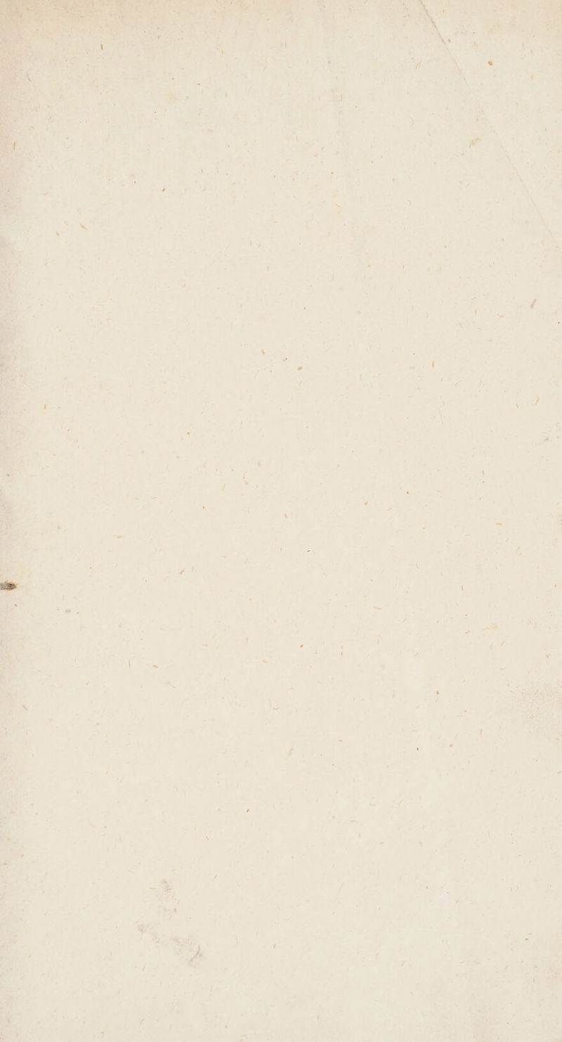 a 5 > ~9) > =. a a ey o , Bo ype \ * - > ac