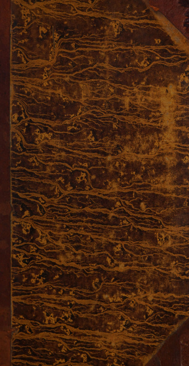 No text description is available for this image