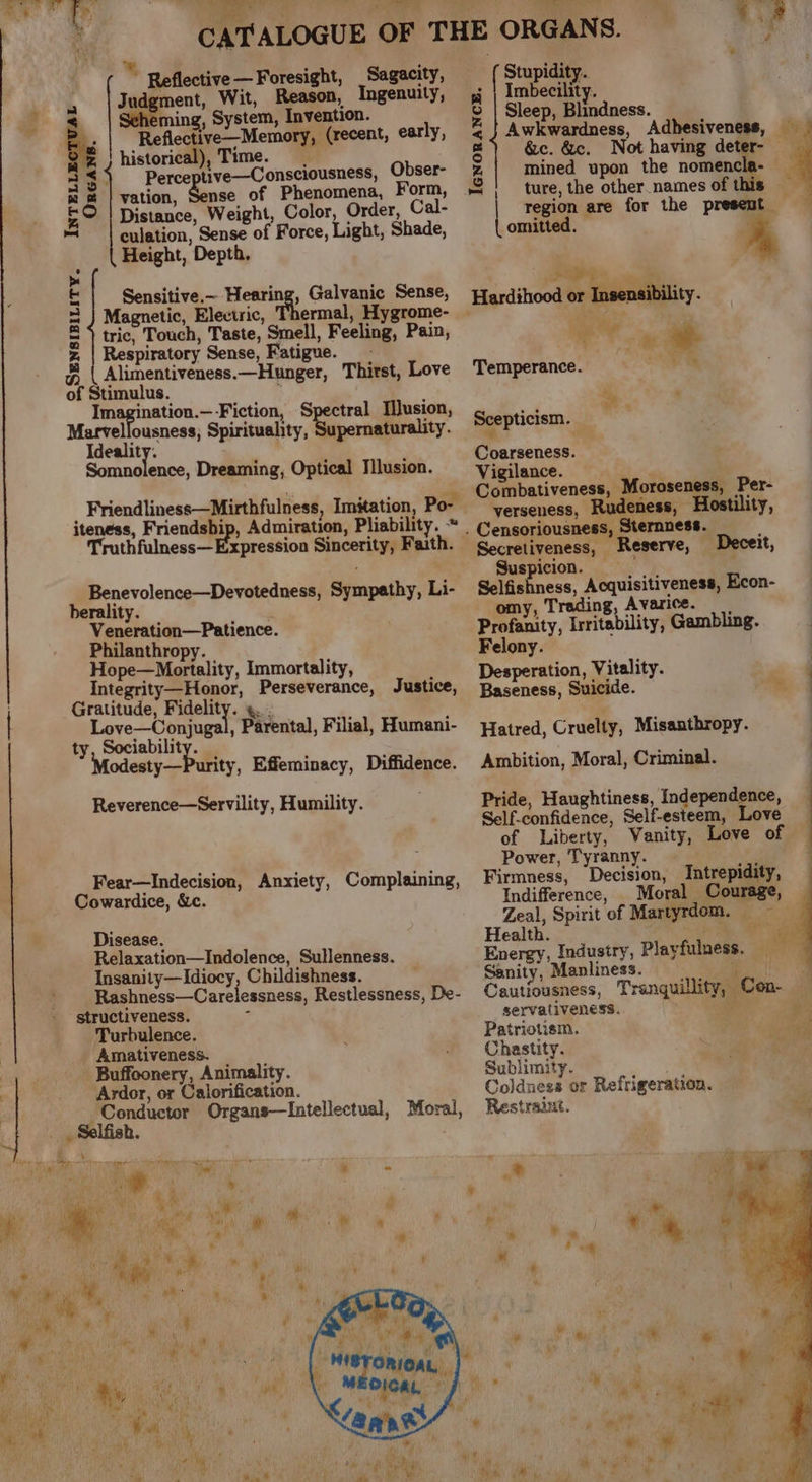 Friendliness—Mirthfulness, Imitation, Po- iteness, Friendship, Admiration, Pliability. * . Truthfulness— Expression Sincerity, Faith. Benevolence—Devotedness, Sympathy, Li- berality. ) Veneration—Patience. Philanthropy. Hope—Mortality, Immortality, Integrity—Honor, Perseverance, Justice, Gratitude, ra alah ts. Love—Conjugal, Parental, Filial, Humani- ty Sager ge Modesty—Purity, Effeminacy, Diffidence. Reverence—Servility, Humility. Fear—Indecision, Anxiety, Complainin Cowardice, &amp;c. of ° Disease. Relaxation—Indolence, Sullenness. Insanity—Idiocy, Childishness. Rashness—Carelessness, Restlessness, De- structiveness. ; Turbulence. Amativeness. Buffoonery, Animality. Ardor, or Calorification. Conductor Organs—lIntellectual, Moral, _ Selfish. we - % 3 f r if y ‘i t ; a #5 er. a4 ¥ i ‘e : Pi i , | M8 ToRieaL | fe eee aM Paps wn ie aN ‘anne’. ae i Tea DNS a: Bs \ Soo. of er yy ie ! 1.8 f CATALOGUE OF THE ORGANS. f i , basi ” Reflective— Foresight, Sagacity, Stupidity. | Judgment, Wit, on, Ingenuity, i Sie | Ps 5 lect oy Men a earl 2 Awe ic i, AdheMy n i . a hie Tine. (recent, y; o.e He - “aa — En od ‘ orice ‘ . &amp;e. a a4: Bare tive—Consciousness, Obser- z mined upon the nomencla- 4 @ @ | vation, Sense of Phenomena, Form, = | ture, the other names of this Ee Distance, Weight, Color, Order, Cal- | region are for the present = shy culation, Sense of Force, Light, Shade, { omitted. a Height, Depth, E | sensitive,—Heating, Galvanic Se ee = nsitive.—- Hearing, Galvanic Sense or Insenaibility. = | Magnetic, Electric, ermal, Hygrome- Hardihood ss Tiss ney &amp; tric, Touch, Taste, Smell, Feeling, Pain, be A * z. | Respiratory Sense, Fatigue. | ia &amp; { Alimentivéeness.—Hunger, Thirst, Love Temperance. as of Stimulus. ° , Imagination.—-Fiction, Speers Tusion, Sceptici w Marvellousness; Spirituality, Supernaturality. gabe ml Ideality. . , , Coarseness. Somnolence, Dreaming, Optical Illusion. Vigilance. Combativeness, Moroseness, Per- verseness, Rudeness, Hostility, Censoriousness, Sternness. Secretiveness, Reserve, Deceit, Suspicion. Selfishness, Acquisitiveness, Econ- omy, Trading, Avarice. Profanity, Irritability, Gambling. Felony. | Desperation, Vitality. Baseness, Suicide. m4 Hatred, Cruelty, Misanthropy. Ambition, Moral, Criminal. Pride, Haughtiness, Independence, Self-confidence, Self-esteem, Love of Liberty, Vanity, Love of Power, Tyranny. ne Firmness, Decision, Intrepidity, Indifference, Moral Courage, Zeal, Spirit of Martyrdom. =~ Health. \ tee Energy, Industry, Playfulness. — Sanity, Manliness. i Cautiousness, Tranquillity, Con- servativeness. Patriotism. Chastity. Sublimity. ' ; Coldness or Refrigeration. Restraint. * A “* + +p x ™ * Ss L] » « * 2) . ¥ AS &amp; « i; ae *, ’ » } o- : ee ay ee z ee,