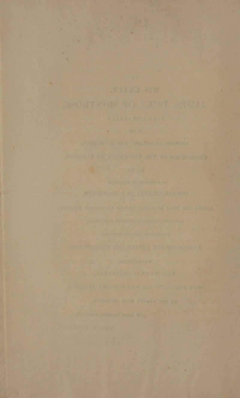 eae aie aie : 8 monrrow He + 7s, ‘7 if , ie i ie PEt) T. apace sat 1 fi <b siledde 7 ann: ay a oe i. *¥ ; ia a i » lee are | ro r4 &amp; a PEAT Ss a + “ 7 se az a a aes pee er i> fa GAM Wvexe bay Mee mnie Pica: ie ; res p alg y 1 VB . si, coeeta ti ei
