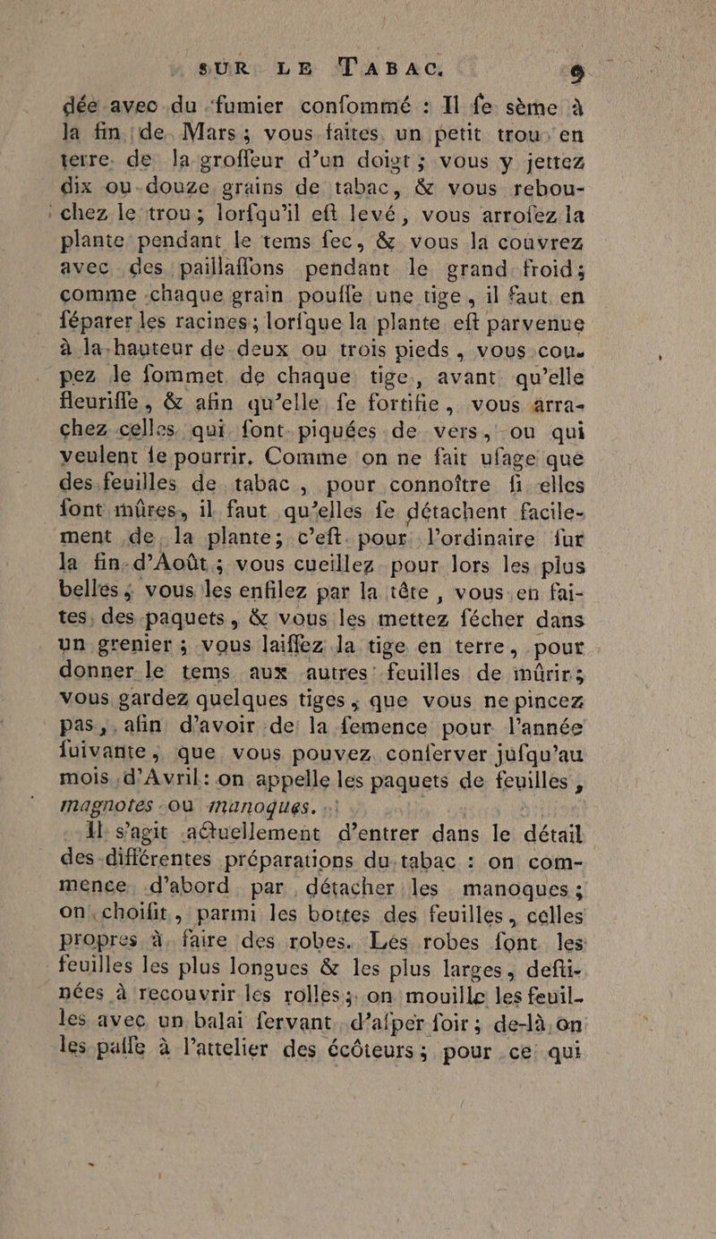 dée avec du ‘fumier confommé : Il fe sème à la fin de. Mars ; vous faites. un petit trou. en terre. de la groffeur d’un doigt ; vous y jettez dix ou-douze grains de tabac, &amp; vous rebou- : chez le trou; lorfqu’il ef levé, vous arrofez la plante pendant le tems fec, &amp; vous la couvrez avec des paillaflons pendant le grand: froid; comme chaque grain poufle une tige, il faut en féparer les racines; lorfque la plante eft parvenue à la-hauteur de deux ou trois pieds, vous cou. pez de fommet de chaque tige, avant qu’elle eurifle, &amp; afin qu’elle fe fortifie, vous arra- chez celles qui font. piquées de vers, ou qui veulent 1e pourrir, Comme on ne fait ufage que des feuilles de tabac, pour connoître fi elles font mûres, il faut qu’elles fe détachent facile- ment de la plante; c’eft. pour l'ordinaire fur la fin-d’Août; vous cueillez pour lors les plus belles ; vous les enfilez par la tête , vous.en fai- tes, des paquets, &amp; vous les mettez fécher dans un grenier ; vous laifflez la tige en terre, pour donner le tems aux autres: feuilles de mûrirs vous gardez quelques tiges, que vous ne pincez pas, ,afin d’avoir de la femence pour l’année luivante, que vous pouvez conferver jufqu’au mois d'Avril: on appelle les paquets de feuilles , magnotes OÙ 1nunoques. :.| tra Lo Il s’agit aétuellement d'entrer dans le détail des différentes préparations du.tabac : on com- mence, d’abord. par détacher les manoques ; on,choifit, parmi les bottes des feuilles, celles propres à, faire des robes. Lés robes font les feuilles Îles plus longues &amp; les plus larges, defii- nées à recouvrir les rolles;: on mouille les feuil.. les avec un balai fervant.. d’afper foir ; de-là,on les palle à l’attelier des écôteurs; pour ce: qui