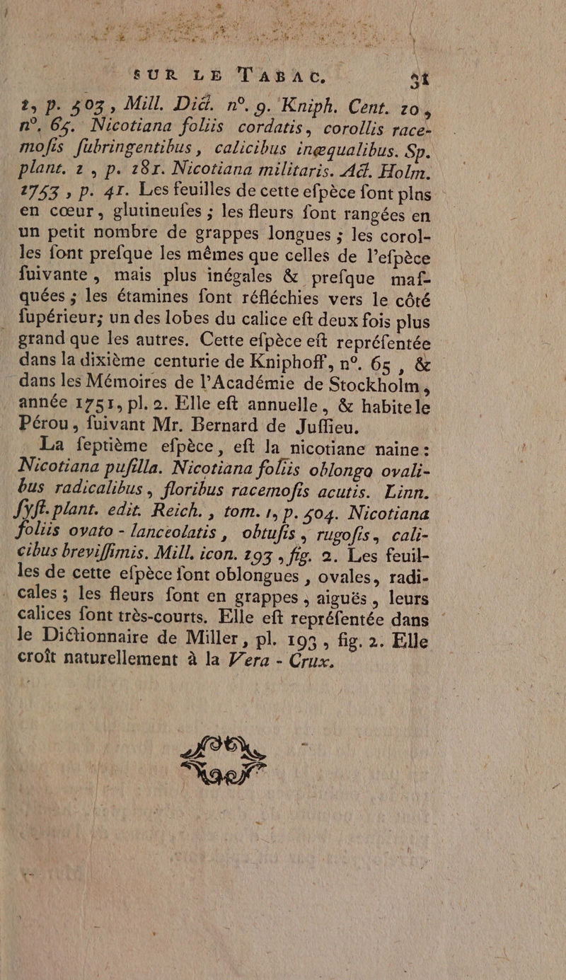 ] A Dies Ps OPA Can tu À SUR LE TaABaAc. st 2, p. 303, Mill. Di. n°. 0. Kniph. Cent. zo , n°, 64. Nicotiana foliis cordatis, corollis race- mofis fubringentibus, calicibus inæqualibus. Sp. plant. 2, p. 287. Nicotiana militaris. A&amp;. Holm. 1743 ; p. 41. Les feuilles de cette efpèce font plas en cœur, glutineufes ; les fleurs font rangées en un petit nombre de grappes longues ; les corol- les font prefque les mêmes que celles de l’efpèce fuivante, mais plus inégales &amp; prefque maf- quées ; les étamines font réfléchies vers le côté fupérieur; un des lobes du calice eft deux fois plus grand que les autres. Cette efpèce eft repréfentée dans la dixième centurie de Kniphoff, n°. 65, &amp; dans les Mémoires de l'Académie de Stockholm ‘ _ année 1755, pl. 2. Elle eft annuelle, &amp; habitele Pérou, fuivant Mr. Bernard de Juffeu. La feptième efpèce, eft la nicotiane naine: Nicotiana pufilla. Nicotiana foliis oblonga ovali- bus radicalibus, floribus racemofis acutis. Linn.. Sy. plant. edit. Reich. , tom. r, p. 504. Nicotiana foliis ovato - lanceolatis, obtufis ; rugofis, cali- cibus breviffimis. Mill. icon. 193 , fig. 2. Les feuil- les de cette efpèce font oblongues , ovales, radi- . cales ; les fleurs font en grappes , aiguës. leurs calices font très-courts. Elle eft repréfentée dans Je Diétionnaire de Miller , pl. 193 , fig. 2. Elle croît naturellement à la era - Crux. Tv Se