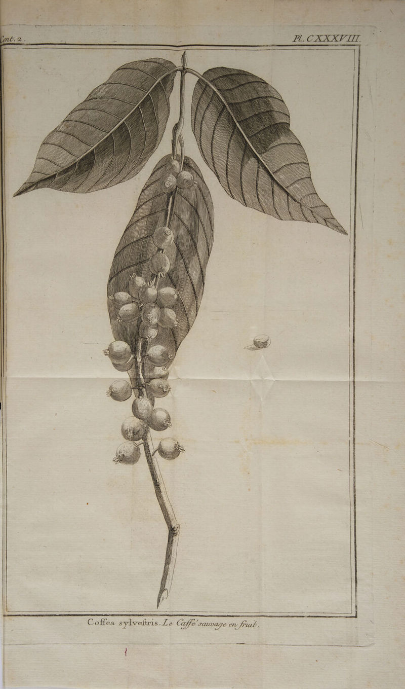 14 {| 1 | À HW} l Ÿ. A \ k NS À SS LA (LAPIT) A1 11 #1] Î 1761 # AO) ‘ È = = = = À 4] AB 1! ‘ / PNR > = Caffe Sauvage en frué. ns ect