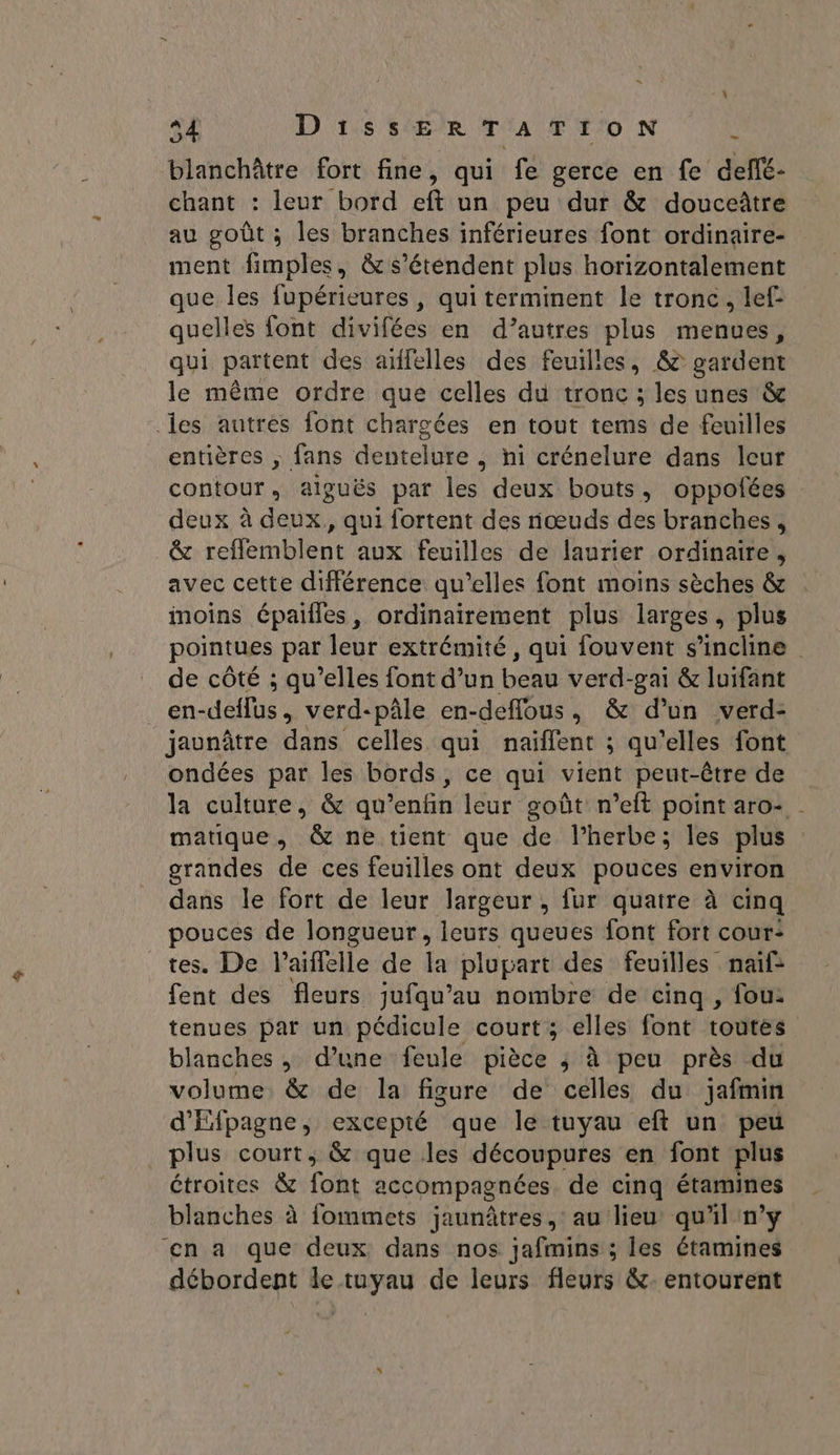 4 DiIssERTATION à blanchâtre fort fine, qui fe gerce en fe deflé- chant : leur bord eft un peu dur &amp; douceître au goût ; les branches inférieures font ordinaire- ment fimples, &amp; s'étendent plus horizontalement que les fupérieures , qui terminent le tronc, lef- quelles font divifées en d’autres plus menues, qui partent des aïffelles des feuilles, &amp; gardent le même ordre que celles du tronc ; les unes &amp; les autres font chargées en tout tems de feuilles entières , fans dentelare . hi crénelure dans leur contour ; aiguës par les deux bouts, oppofées deux à dènk, » qui fortent des nœuds des branches, ê Leémbleut aux feuilles de laurier ordinaire, avec cette différence qu’elles font moins sèches &amp; moins épailes, ordinairement plus larges, plus pointues par leur extrémité, qui fouvent s'incline de côté ; qu’elles font d’un beau verd-gai &amp; luifant _en-deflus, verd-pâle en-deffous, &amp; d’un verd- jaunâtre dans celles qui naïffent ; qu’elles font ondées par les bords, ce qui vient peut-être de la culture, &amp; qu’enfin leur goût n’eft point aro- | matique, &amp; ne tient que de l'herbe; les plus grandes de ces feuilles ont deux pouces environ dans le fort de leur largeur, fur quatre à cinq pouces de longueur, leurs queues font fort cour: tes. De l’aifflelle de la plupart des feuilles naïf fent des fleurs jufqu’au nombre de cinq , fou: tenues par un pédicule court ; elles font toutes blanches, d’une feule pièce ; à peu près du volume &amp; de la figure de celles du jafmin d'Ffpagne, excepté que le tuyau eft un peu plus court, &amp; que les découpures en font plus étroites &amp; font accompagnées de cinq étamines blanches à fommets jaunâtres, au lieu qu'il n’y en a que deux dans nos jafmins ; les étamines débordent de tuyau de leurs fleurs &amp;: entourent