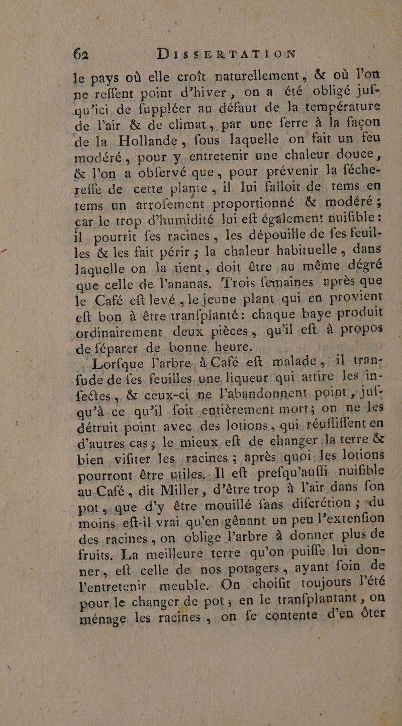 * 62 DisSERTATION le pays où elle croît naturellement, &amp; où l'on ne reffent point d'hiver, on a été obligé juf- qu'ici, de fuppléer au défant de la température de lair &amp; de climat, par une ferre à la façon de la Hollande, fous laquelle on fait un feu modéré, pour y entretenir une chaleur douce, &amp; l’on a oblervé que, pour prévenir la féche- refle de cette plante, il lui falloit de tems en tems un arrofement proportionné &amp; modéré; car le trop d'humidité lui eft également nuifible : il pourrit fes racines, les dépouïlle de fes feuil- les &amp; les fait périr ; la chaleur habituelle, dans laquelle on Ja tent, doit être au même dégré que celle de l’ananas. Trois femaines après que le Café eft levé. le jeune plant qui en provient eft bon à étretranfplanté: chaque baye produit ordinairement deux pièces, qu'il eft à propos de féparer de bonne heure. | . Lorfque l'arbre. à Café eft malade . ‘il tran- fude de fes feuilles une liqueur’ qui attire les in- fectes, &amp; ceux-ci ne l’abandonnent point, jui- qu'à ce qu'il foit entièrement morts On ne les détruit point avec des lotions, qui réufliffent en d’autres cas; le mieux eft de changer la terre &amp;c bien vifiter les racines ; après quoi:les lotions pourront être utiles. Il eft prefqu’auñi nuifible au Café. dit Miller, d’être trop à Pair dans fon pot, que d'y être mouillé fans difcrétion ; “du moins eftil vrai qu’enigênant un peu l’extenfon des racines, on oblige l'arbre à donner plus de fruits. La meilleure terre qu’on ’puifle lui don- ner. eft celle de nos potagers, ayant foin de lentretenir meuble. On choifit toujours l'été pour le changer de pot; en le tranfplantant, on ménage les racines , on fe contente d’en ôter