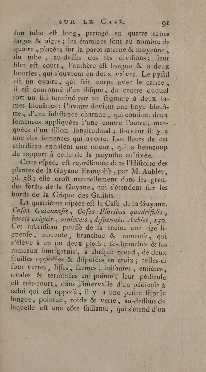 fon tube eft long, partagé en quatre ‘tubes Jarges &amp; aigus ; les étamines font au nombre de quatre , placées fur la paroi interne &amp; moyenne, du tube , au-deflus des fes divifions: leur filet eft court, l’anthère eft longue &amp; a deux bourles , qui s'ouvrent en deux valves. Le pyfil il eft couronné d’un difque, du centre duquel mes bleuâtres ; l’ovaire devient une baye -bleu- tre, d’une fubftance charnue , qui contient deux femences, appliquées l’une contre l’autre, mar- quées d’un fillon longitudinal ; fouvent il y.a une des femences qui avorte. Les fleurs de cet arbrifleau exhalent une odeur, qui a beaucoup de rapport à celle de la jacynthe cultivée. Cette efpèce eft repréfentée dans l’Hiftoire des plantes de la Guyane Françoife , par M. Aublet, pl 58; elle croît naturellement dans les gran- des forêts de la Guyane, qui s'étendent fur les bords de la Crique des Galibis. : La quatrième efpèce eft le Café de la Guyane. Cofea Guianenfis, Cofea Floribus quadrifidis , haccis exiguis . violaceis difpermis. Aublet, 240. Cet arbrifleau poufle de fa racine une tige li- gneufe, noueule, branchue &amp; rameule, qui s'élève à un ou deux pieds ; {es-branches &amp; fes rameaux {ont garnis, à chaque nœud, de deux icuilles oppofées &amp; difpofées en croix ; celles-ci font vertes, lifles , fermes , luifantes , entières, cit très-court ; dâns l'intervalle d’un pédicule à longue, pointue, roide &amp; verte, au-deflous de laquelle eft une côte faillante , qui s'étend d’un |