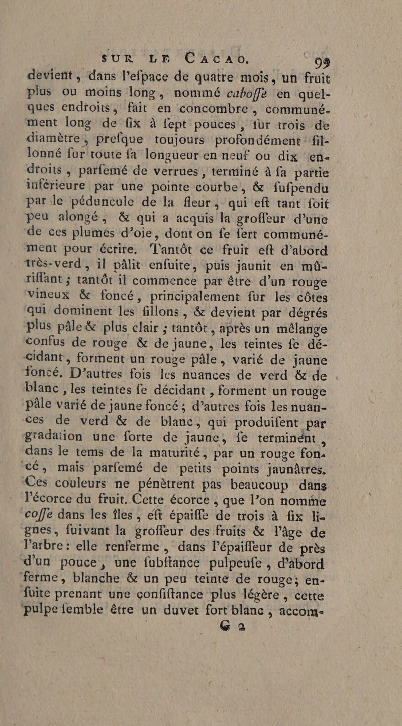 devient , dans l’efpace de quatre mois, un fruit plus ou moins long, nommé cuboffe en quel- ques endroits, fait en concombre, communé. ment long de fix à fept pouces, fur trois de diamètre, prefque toujours profondément :fil- lonné fur toute fa longueur en neuf ou dix en droits ; parfemé de verrues , terminé à fa partie inférieure par une pointe courbe, & fufpendu par le péduncule de la fleur, qui eft tant foit peu alongé, & qui a acquis la groffeur d’une de ces plumes d’oie, dont on fe fert communé- ment pour écrire. Tl'antôt ce fruit eft d’abord très-verd , il pâlit enfuite, puis jaunit en mû- rillant ; tantôt il commence par être d’un rouge vineux & foncé, principalement fur les côtes qui dominent les fillons, & devient par dégrés plus pâle & plus clair ; tantôt, après un mélange confus de rouge & de jaune, les teintes fe dé- cidant, forment un rouge pâle, varié de jaune foncé. D’autres fois les nuances de verd & de blanc , les teintes fe décidant , forment un rouge Pâle varié de jaune foncé ; d’autres fois les nuan- ces de verd & de blanc, qui produifent par gradation une forte de jaune, fe terminént, dans le tems de la maturité, par un rouge fon. cé, mais parfemé de petits points jaunâtres. Ces couleurs ne pénètrent pas beaucoup dans l'écorce du fruit. Cette écorce , que l’on nomine coffe dans les Îles , éft épaiflé de trois à fix li. gnes, fuivant la groffeur des fruits & l’âge de l'arbre: elle renferme , dans l’épaifleur de près d’un pouce, une fubftance pulpeufe , d’äbord ferme, blanche & un peu teinte de rouge; en- füite prenant une confftance plus légère, cette pulpe {emble être un duvet fort blanc , accom-