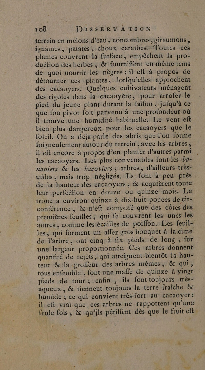 terrein en melons d’eau, concombres, giraumons, ignames, patates, choux caraïbes. Foutes ces plantes couvrent la furface, empêchent la pro- duëtion des herbes , &amp; fourniffent en même tems de quoi nourrir les nègres : il eft à propos de détourner ces plantes, lorfau’elles approchent des cacaoyers. Quelques cultivateurs ménagent des rigoles dans la cacaoyère, pour arrofer le pied du jeune plant durant la faifon , jufqu’à ce que fon pivot loit parvenu à une profondeur où il trouve.une humidité habituelle. Le vent eft bien plus dangereux pour les cacaoyers que le foleil. On a déja parlé des abris que l’on forme foigneufement autour du terrein , avec les arbres, il eft encore à propos d’en planter d’autres parmi les cacaoyers. Les plus convenables font les ba- naniers &amp; les bacoviers ; arbres, d’ailleurs très- utiles, mais trop négligés. Ils font à peu près de la hauteur des cacaoyers ; &amp; acquièrent toute leur perfe“tion en douze ou quinze mois. Le tronc a environ quinze à dix-huit pouces de cir- conférence, &amp; n’eft compolé que des côtes des premières feuilles, qui fe couvrent les unes les autres , comme les écailles de poiffon. Les feuil- les, qui forment un aflez gros bouquet à la cime de l'arbre, ont cinq à fix pieds de long , fur une largeur proportionnée. Ces arbres donnent quantité de rejets, qui atteignent bientôt la hau- teur &amp; la .grofleur des arbres mêmes, &amp; qui, tous enfemble , font une mafle de quinze à vingt pieds de tour; enfin , ils fonttoujours très- aqueux , &amp; tiennent toujours la terre fraîche &amp; humide ; ce qui convient très-fort au cacaoyer : il eft vrai que ces arbres ne rapportent qu'une : feule fois, &amp; qu’ils périflent dès que le fruit eft ’ \