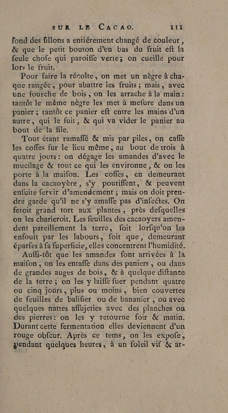 fond des fillons a entiérément changé de couleur, &amp; que le petit bouton d'en bas du fruit eft la feule chofe qui paroïifle verie; on cueille pour lors le fruit. Pour faire la récolte, on met un nègre à cha- que rangée, pour abattre ies fruits; mais, avec une fourche de bois, on les arrache à la maïn: tantôt le même nègre les met à mefure dansun panier ; tantôt ce panier eft entre les mains d’un autre, qui le fuit, &amp; qui va vider le panier au bout dela file. Tout étant ramaflé &amp; mis par piles, on cafe les coffes fur le lieu même, au bout detrois à quatre jours: on dégage les amandes d’avec le mucilage &amp; tout ce qui les environne , &amp; on les porte à la maïfon. Les cofles, en demeurant dans la cacaoyère, s’y. pouriffent, &amp; peuvent enfuite fervir d’amendement ; mais on doit pren- dre garde qu’il ne s’y amaïñle pas d’infeétes. On feroit grand tort aux plantes, près defquelles on les charieroit. Les feuilles des cacaoyers amen- dent pareillement la terre, foit lorfqu’on les enfouit par les labours, foit que, demeurant éparfes à {a fuperficie, elles concentrent l'humidité. Aufli-tôt que les amandes font arrivées à la maifon , on les entafle dans des paniers, ou dans de grandes auges de bois, &amp; à quelque diftance de la terre ; on les y laïffe fuer pendant quatre ou cinq jours, plus ou moins, bien couvertes de feuilles de balifier ou de bananier , ou avec quelques nattes aflujeties avec des planches ou des pierres: on les y retourne foir &amp; matin. Durant cette fermentation elles deviennent d’un rouge obfcur. Après ce tems, on les expole, pendant quelques heures, à un foleil vif &amp; ar-