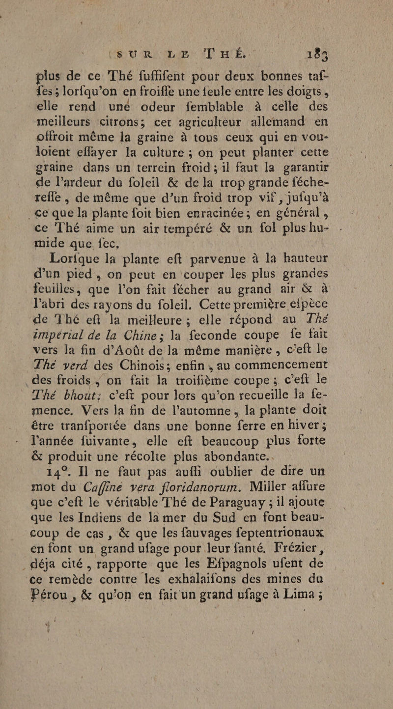 plus de ce Thé fuffifent pour deux bonnes taf- {es ; lorfqu’on en froifle une {eule entre les doigts, elle rend une odeur femblable à celle des meilleurs citrons; cet agriculteur allemand en offroit même la graine à tous ceux qui en vou- loient eflayer la culture ; on peut planter cette graine dans un terrein froid ; il faut la garantir de l’ardeur du foleil &amp; de la trop grande féche- refle , de même que d’un froid trop vif, jufqu’à ce que la plante foit bien enracinée; en général, ce Thé aime un air tempéré &amp; un {ol plus hu- mide que fec, Lorique la plante eft parvenue à la hauteur d’un pied, on peut en couper les plus grandes feuilles, que l’on fait fécher au grand air &amp; à lPabri des rayons du foleil. Cette première efpèce de Thé eft la meilleure ; elle répond au Thé impérial de la Chine; la feconde coupe Îe fait vers la fin d’Août de la même manière, c’eft le Thé verd des Chinois; enfin , au commencement des froids ; on fait la troifième coupe ; c'eft le Thé bhout; c’eft pour lors qu’on recueille la fe- mence. Vers la fin de l’automne, la plante doit être tranfportée dans une bonne ferre en hiver; l'année fuivante, elle eft beaucoup plus forte &amp; produit une récolte plus abondante. 14°. Il ne faut pas aufli oublier de dire un mot du Caffine vera floridanorum. Miller aflure que c’eft le véritable Thé de Paraguay ; il ajoute que les Indiens de la mer du Sud en font beau- coup de cas , &amp; que les fauvages feptentrionaux en font un grand ufage pour leur fanté. Frézier, déja cité, rapporte que les Efpagnols ufent de ‘ce remède contre les exhalaifons des mines du Pérou , &amp; qu’on en fait un grand ufage à Lima ;