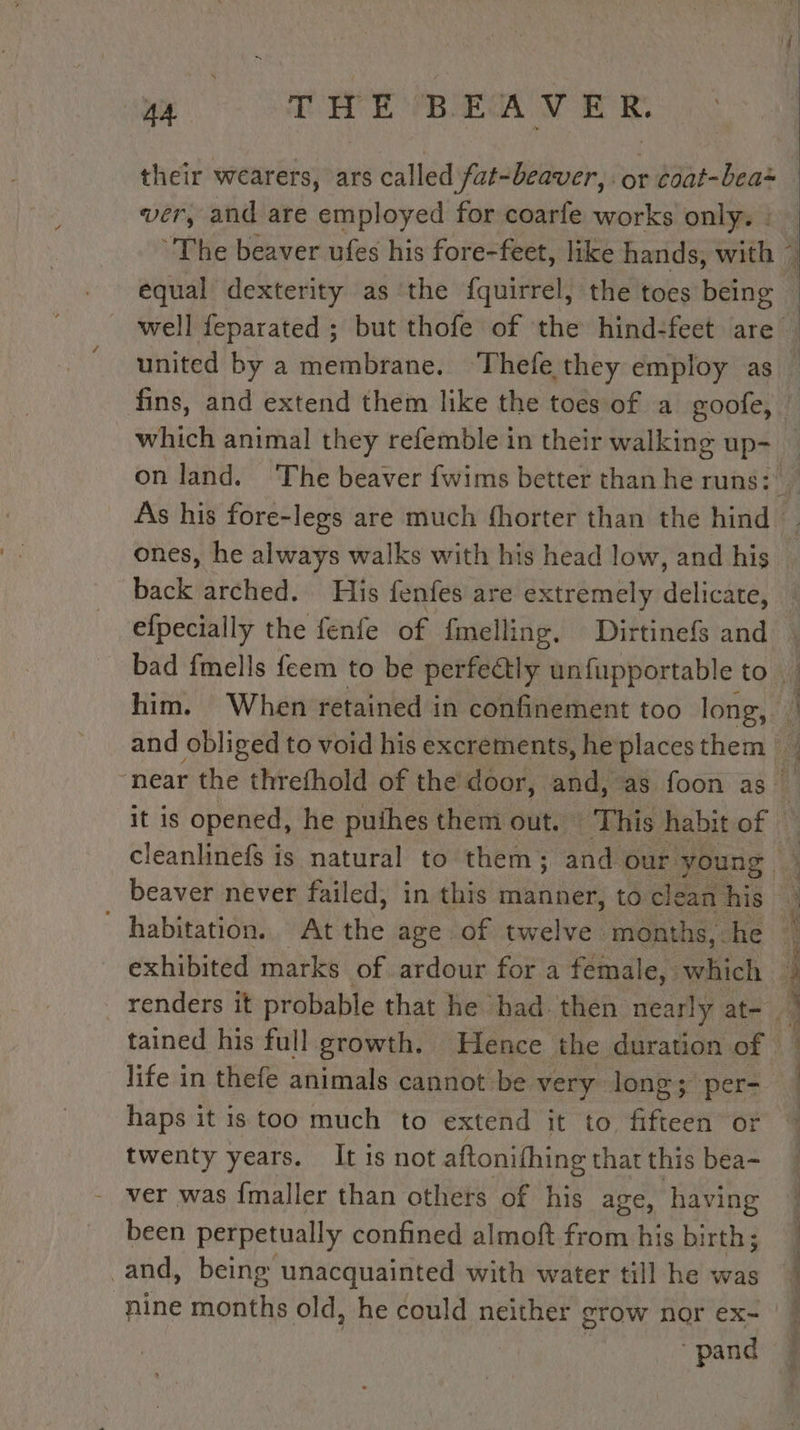 their wearers, ars called fat-beaver, or coat-bea~ ver, and are employed for coarfe works only. : equal dexterity as the fquirrel, the toes being united by a membrane. Thefe they employ as à he ae life in thefe animals cannot be very long; per- haps it is too much to extend it to fifteen or twenty years. It is not aftonifhing that this bea- - ver was fmaller than others of his age, having been perpetually confined almoft from his birth; nine mnie old, he could neither grow nor ex= ae OE a Se ee Ù