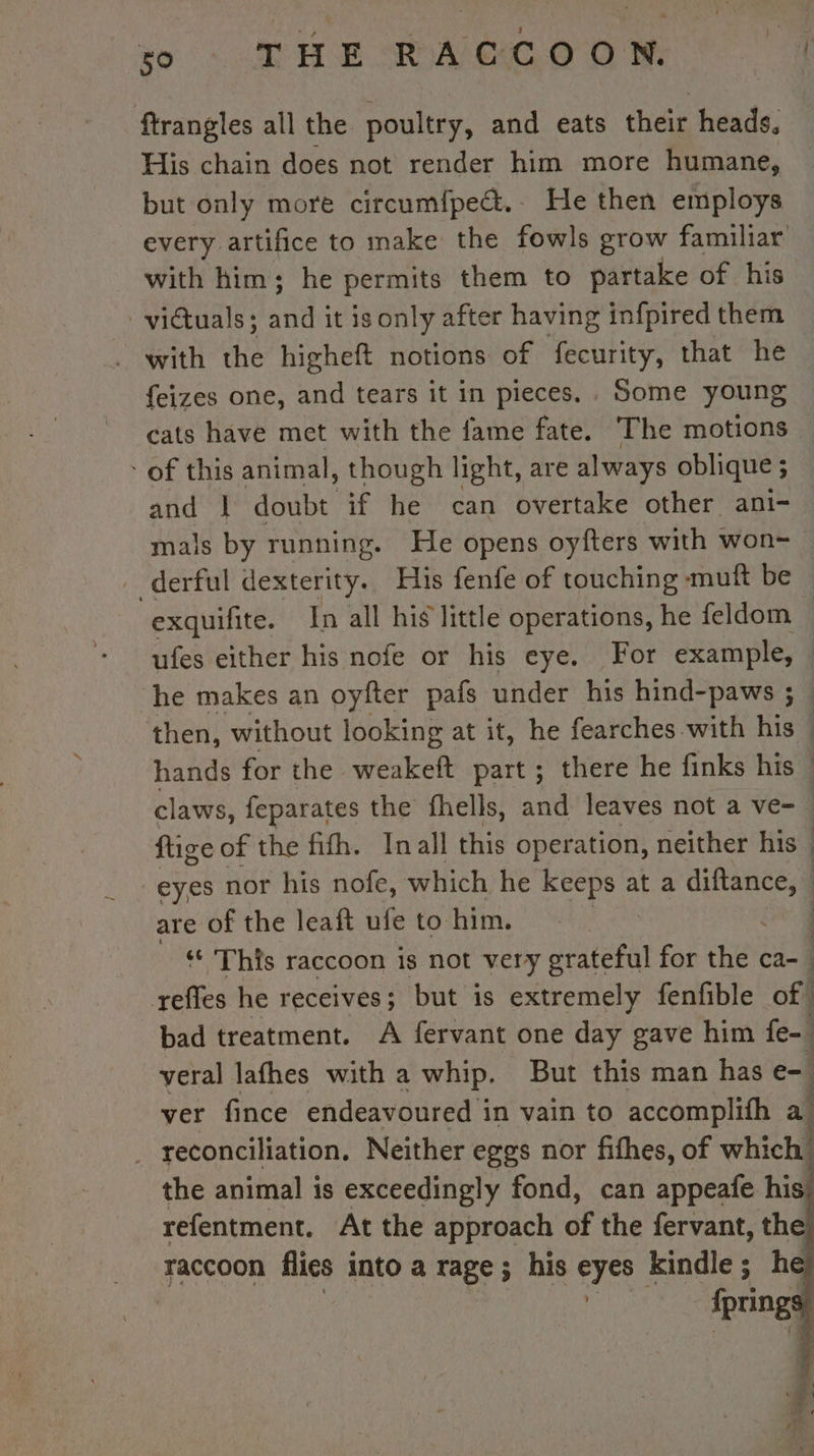 ftrangles all the poultry, and eats their heads, His chain does not render him more humane, but only more circum{pect.. He then employs every artifice to make the fowls grow familiar with him; he permits them to partake of his victuals ; a it is only after having infpired them with the higheft notions of fecurity, that he feizes one, and tears it in pieces.. Some young cats have met with the fame fate. The motions of this animal, though light, are always oblique ; ; and | doubt if ge can overtake other ani- mals by running. He opens oyfters with won- __derful dexterity. His fenfe of touching - muft be exquifite. In all his little operations, he feldom ufes either his nofe or his eye. For example, he makes an oyfter pafs under his hind-paws ; . then, without looking at it, he fearches with his | hands for the RSR part ; there he finks his | claws, feparates the fhells, and leaves not a ve- ftige of the fith. Inall this operation, neither his ! eyes nor his nofe, which he keeps at a M | are of the leaft ufe to him. | | “ This raccoon is not very grateful for the ca- | reffes he receives; but is extremely fenfible of” bad treatment. A fervant one day gave him fe= yeral lathes with a whip. But this man has e- ver fince endeavoured : in vain to accomplifh a! reconciliation. Neither eggs nor fifhes, of which | the animal is exceedingly fond, can appeafe his! refentment. At the approach of the fervant, the} raccoon flies into a rage; his eyes kindle ; he | fpring 5 oe a + L ef