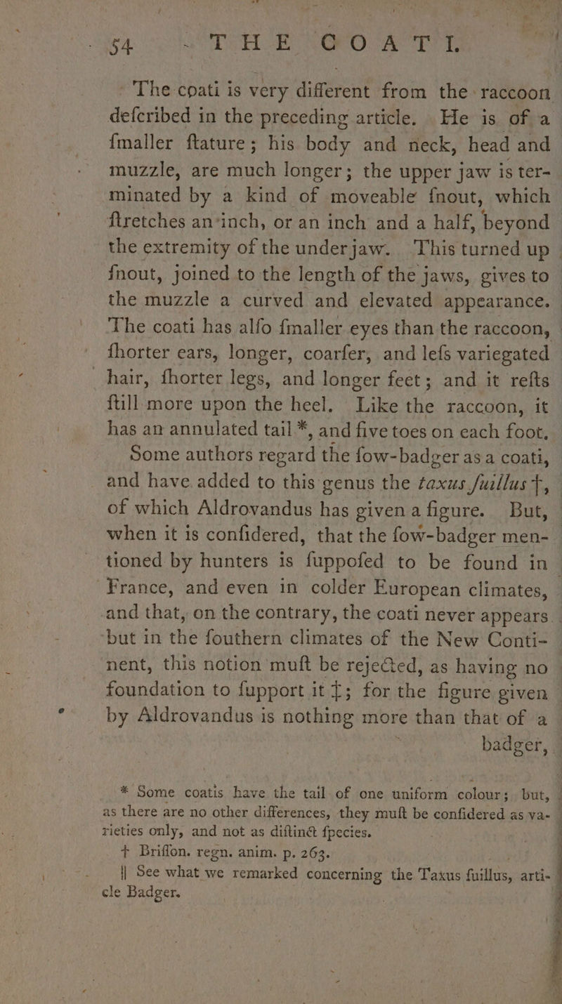 ca COTE SO TT The coati is very different from the raccoon defcribed in the preceding article. He is of a fmaller ftature; his body and neck, head and muzzle, are much longer; the upper jaw is ter- minated by a kind of moveable fnout, which ftretches an‘inch, or an inch and a half, beyond - the extremity of the underjaw. This turned up. fnout, joined to the length of the jaws, gives to _ the Hints a curved and elevated appearance. | The coati has alfo fmaller eyes than the raccoon, — fhorter ears, longer, coarfer, and lefs variegated hair, fhorter legs, and longer feet; and it refts {till more upon the heel. hae the raccoon, it has an annulated tail *, and five toes on each foot, Some authors regard the fow-badger as a coati, and have added to this genus the ¢axus fuillus }, of which Aldrovandus has given a figure. But, © when it is confidered, that the fow-badger men-_ tioned by hunters is Nispoied to be found in. France, and even in colder European climates, © and that, on the contrary, the coati never appears ‘but in the fouthern climates of the New Conti- nent, this notion muft be rejeted, as having no foundation to fupport it [; for the figure given by Aldrovandus is nothing more thaw ‘that of a : ‘ badger, * Some coatis have the tail-of one uniform colour; but, | as there are no other differences, they muft be confidered as va- | rieties only, and not as diftinét fpecies. | + Briflon. regn. anim. p. 263. : | See what we remarked concerning the Taxus fuillus, artis | cle Badger, |
