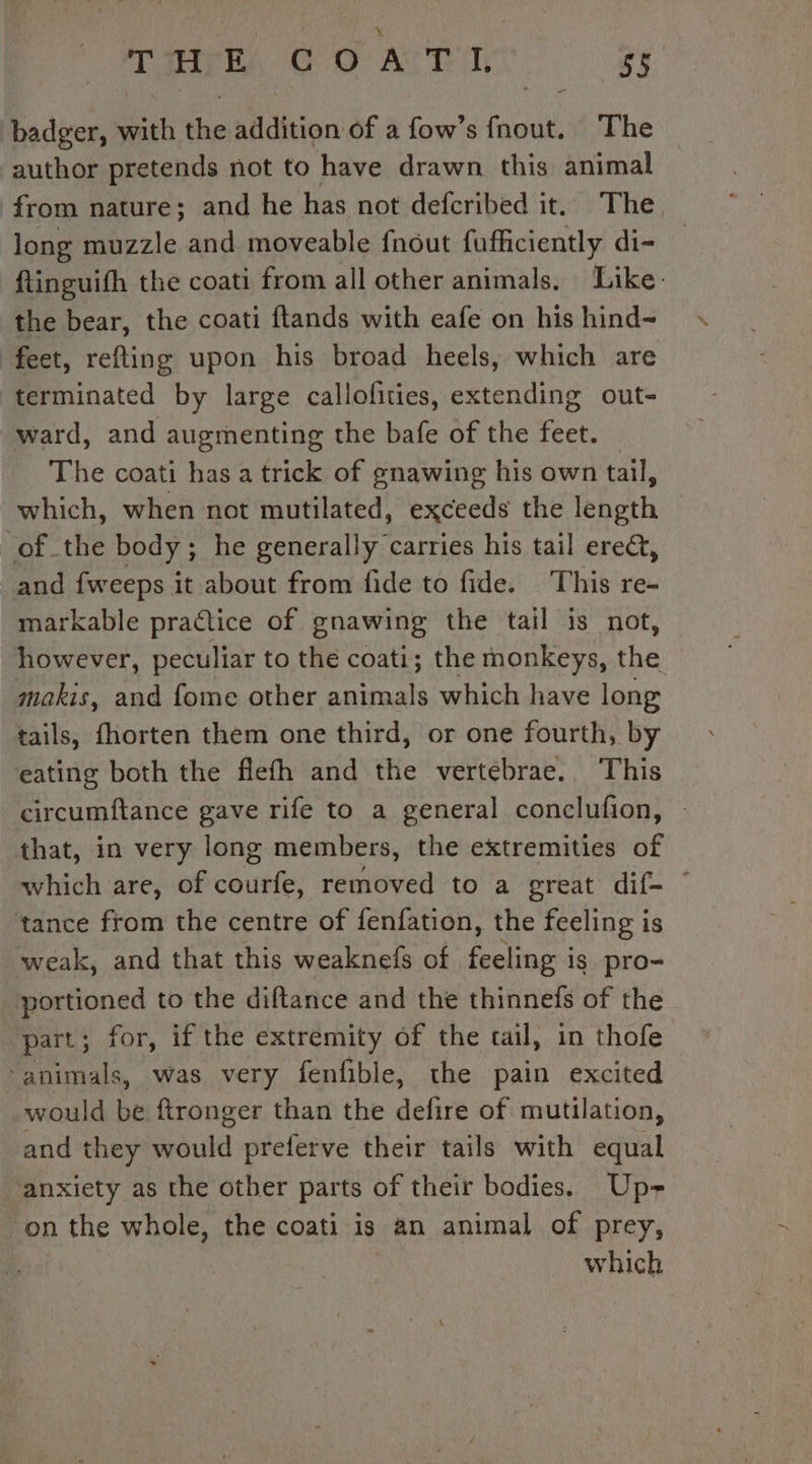 Tris CO AT? ey badger, with the addition of a fow’s fnout. The author pretends not to have drawn this animal from nature; and he has not defcribed it, The long muzzle and moveable fnout fufficiently di- ftinguifh the coati from all other animals. Like the bear, the coati ftands with eafe on his hind- feet, refting upon his broad heels, which are terminated by large callofities, extending out- ward, and augmenting the bafe of the feet. The coati has a trick of gnawing his own tail, which, when not mutilated, exceeds the length © of the body; he generally carries his tail ere&amp;t, and {weeps it about from fide to fide. This re- markable practice of gnawing the tail is not, however, peculiar to the coati; the monkeys, the makis, and fome other animals which have long tails, fhorten them one third, or one fourth, by eating both the flefh and the vertebrae. This circumftance gave rife to a general conclufion, : that, in very long members, the extremities of which are, of courfe, removed to a great dif- | tance from the centre of fenfation, the feeling is weak, and that this weaknefs of feeling is pro- portioned to the diftance and the thinnefs of the part; for, if the extremity of the cal, in thofe ‘animals, was very fenfible, the pain excited would be ftronger than the defire of mutilation, and they would preferve their tails with equal anxiety as the other parts of their bodies. Up- on n the whole, the coati is an animal of prey, which