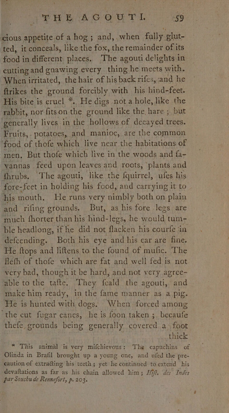 x ‘THE AGOUTL 59 ctous appetite of a hog ; and, when fally glut- ted, it conceals, like the fox, the remainder of its food in different places. The agouti delights in cutting and enawing every thing he meets with. When irritated, the hair of his back rifes, and he ftrikes the ground forcibly with his hind- feet. His bite is cruel *. He digs not a hole, like the ‘rabbit, nor fits on the ered like the hare ; but generally lives in the hollows of decayed cies. Fruits, - potatoes, and manioc, are the common ‘food of thofe which live near the habitations of men, But thofe which live in the woods and fa- vannas feed upon leaves and roots, ‘plants and thrubs. The agouti, like the fquirrel, ufes his fore-feet in holding his food, and carrying it to ‘his mouth, He runs very nimbly both on plain and rifing grounds, But, as his fore legs are much fhorter than his hind-legs, he w Sule tum- ble headlong, if he did not flacken his courfe 4 in defcending. Both his eye and his ear are fine. He ftops and liftens to the found of mulic. The fléfh of thofe which are fat and well fed is not very bad, though it be hard, and not very agree- able to the tafte. They fcald the agouti, and make him ready, in the fame manner as a pig. ‘He is hunted with dogs. When forced among the cut fugar canes, he is foon taken ;. becaufe ends being generally covered a; foot | thick * This animal is very mifchievous: The capuchins of ‘Olinda in Brafil brought up a young one, and ufed the pre- caution of extracting his teeth; yet he continued to extend his devaftations as far as his chain allowed him; Hi. des Indes par Souchu de Rennefort, p. 203. :