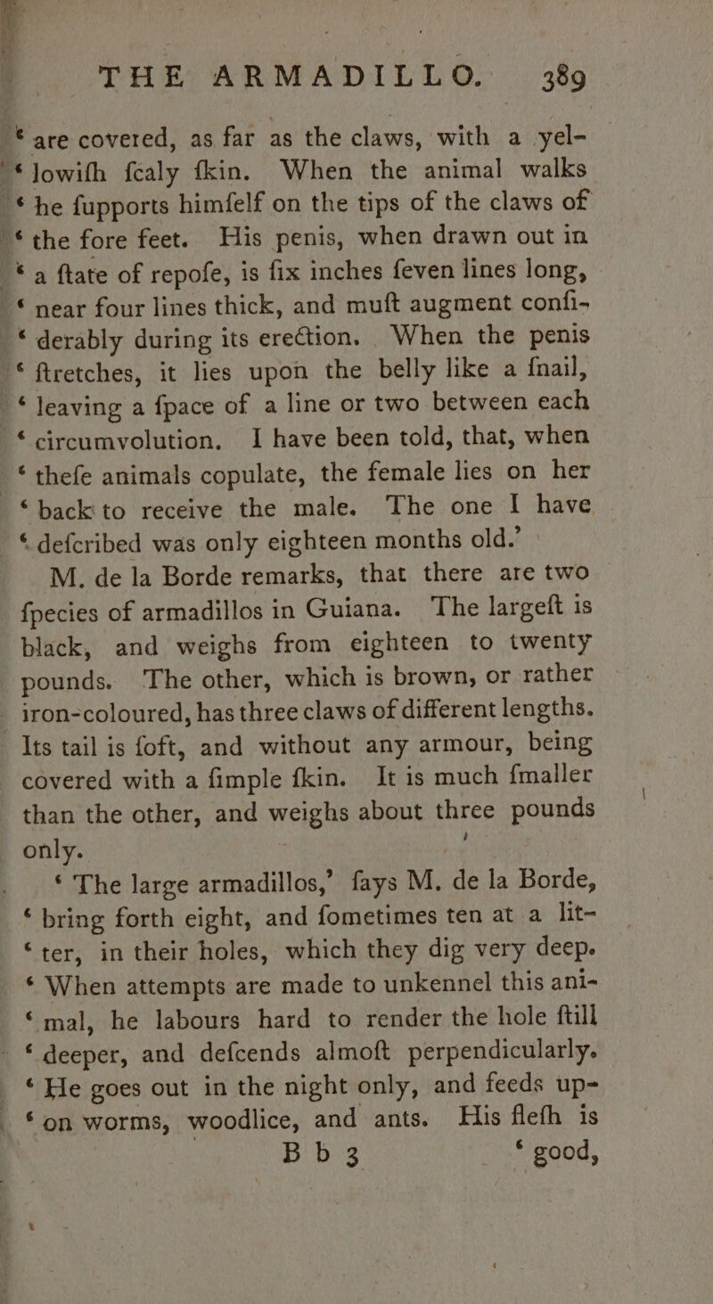 ‘are covered, as far as the claws, with a yel- “ Jowifh fealy fkin. When the animal walks *he fupports himfelf on the tips of the claws of ‘the fore feet. His penis, when drawn out in * à ftate of repofe, is fix inches feven lines long, © near four lines thick, and muft augment confi- “ derably during its erection. When the penis © ftretches, it lies upon the belly like a fnail, ‘leaving a fpace of a line or two between each ‘ circumvolution, I have been told, that, when * ‘ thefe animals copulate, the female lies on her “ backito receive the male. The one I have © defcribed was only eighteen months old.’ M. de la Borde remarks, that there are two fpecies of armadillos in Guiana. The largeft is black, and weighs from eighteen to twenty pounds. The other, which is brown, or rather _ iron-coloured, has three claws of different lengths. Its tail is foft, and without any armour, being covered with a fimple fkin. It is much fmaller than the other, and weighs about three pounds only. Nabe ‘ The large armadillos,’ fays M. de la Borde, ‘ bring forth eight, and fometimes ten at a lit- “ter, in their holes, which they dig very deep. ‘ When attempts are made to unkennel this ani- ‘mal, he labours hard to render the hole fill - © deeper, and defcends almoft perpendicularly. _ ©He goes out in the night only, and feeds up- ‘on worms, woodlice, and ants. His flefh is Bb 3 : .* good,