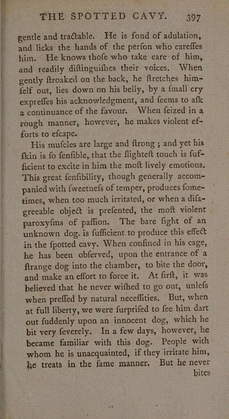 RE RS gentle and tractable. He is fond of ddglation! and licks the hands of the pérfon who carelles and readily diftinguifhes their voices. When gently ftroaked on the back, he ftretches him- {elf out, lies down on his belly, by a fmall cry expreffes his acknowledgment, and feems to afk a continuance of the favour. When feized ina rough manner, however, he makes violent ef- forts to efcape. ee | His mufcles are large and ftrong ; and yet his fkin is fo fenfible, that the flighteft touch is fuf- ficient to excite in him the moft lively emotions. This great fenfbility, though generally accom- panied with fweetnefs of temper, produces fome- times, when too much irritated, or when a difa- greeable object is prefented, the moft violent paroxyfms of pañlion. The bare fight of an unknown dog. is fufficient to produce this effect in the {potted cavy. When confined in his cage, he has been obferved, upon the entrance of a frange dog into the chamber, to bite the door, and make an effort to force it. At firft, it was believed that he never wifhed to go out, unlefs when preffed by. natural neceflities. But, when at full liberty, we were furprifed to fee him dart out fuddenly upon an innocent dog, which he bit very feverely. In a few days, however, he became familiar with this dog. People with whom he is unacquainted, if they irritate him, he treats in the fame manner. But he never bites