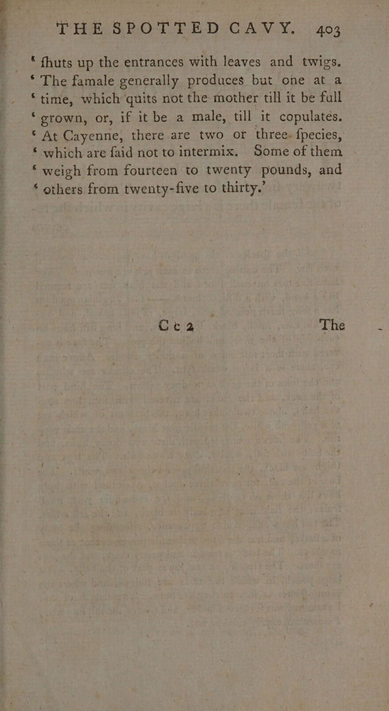 T'ON D CAN: | 402 * fhuts up the entrances with leaves and twigs. © The famale generally produces but one at a ‘time, which ‘quits not the mother till it be full ‘grown, or, if it be a male, till it copulates. © At Cayenne, there are two or three. fpecies, © which are faid not to intermix. Some of them | ‘ weigh from fourteen to twenty pounds, and ‘ others from twenty-five to thirty.’ Coa The