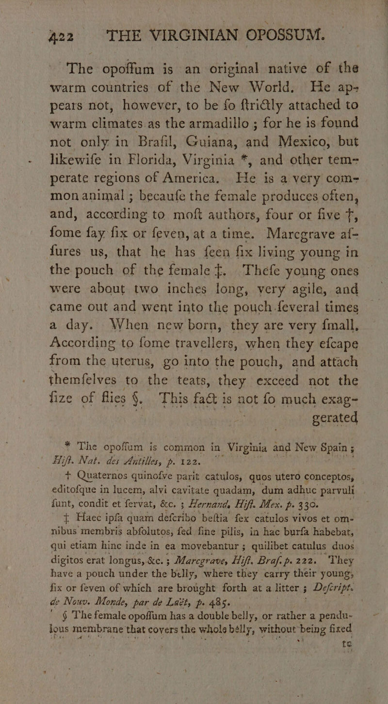 The opoffum is an original native of the warm countries of the New World. He ap- pears not, however, to be fo ftritly attached to warm climates as the armadillo ; for he is found not only in Brafil, Guiana, and Mexico, but likewife in Florida, Virginia *, and other tem- perate regions of America. He is a very com- mon animal ; becaufe the female produces often, and, according to moft authors, four or five f, fome fay fix or feven, at a time. Marcgrave af- fures us, that he has feen fix living young in the pouch of the female f. Thefe young ones were about two inches long, very agile, and came out and went into the pouch feveral times a day. When new born, they are very fmall, According to fome travellers, when they efcape from the uterus, go into the pouch, and attach themfelves to the teats, they exceed not the fize of flies §. This fact is not fo much exag- gerated * The opoffum is common in _ Virginia and New Spain 5 | iff. Nat. des Antilles, p. 122. + Quaternos quinofve parit catulos, quos utero conceptos, editofque in lucem, alvi cavitate quadam, dum adhuc parvuli | funt, condit et fer vat, &amp;c. ; Hernand Hifi. Mex. ps 330: | + Haec ipfa quam defcribo beltia fex catulos vivos et om- nibus membris abfolutos, fed fine pilis, in hac burfa habebat, qui etiam hinc inde in ea movebantur ; quilibet catulus duos digitos erat longus,. &amp;c. 3 Marcgrave, Hi if?, Braf. p. 222. They have a pouch under the belly, where they carry their young, fix or feven of which are brought forth at a litter ; Defeript. de Nouv. Monde, par de Laët, p. 485. — § The female opoflum has a double belly, or rather a pendu- ious membrane that covers the whole bélly, without being fixed | 3 te