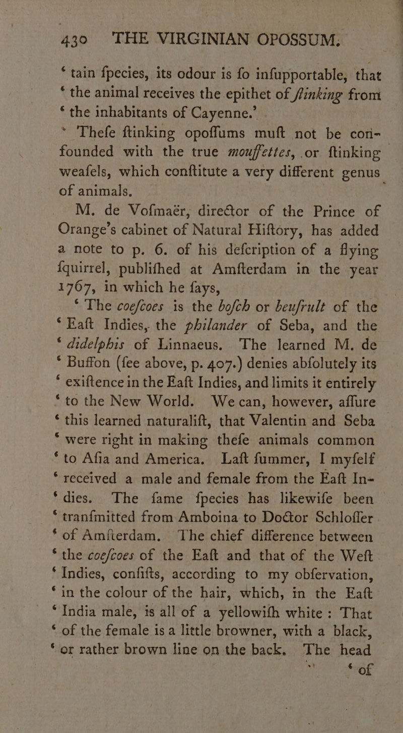 “tain fpecies, its odour is fo infupportable, that * the animal receives the epithet of finking from ‘ the inhabitants of Cayenne.’ * Thefe ftinking opoffums muft not be cori- founded with the true mouffettes, or ftinking — weafels, which conftitute a very different genus of animals, | M. de Vofmaér, direétor of the Prince of Orange’s cabinet of Natural Hiftory, has added a note to p. 6. of his defcription of a flying {quirrel, publifhed at Amfterdam in the year 1767, in which he fays, * The coefcoes is the bofch or beufrult of the Eañt Indies, the philander of Seba, and the ‘ didelphis of Linnaeus. The learned M. de * Buffon (fee above, p. 407.) denies abfolutely its * exiftence in the Eaft Indies, and limits it entirely “to the New World. We can, however, aflure * this learned naturalift, that Valentin and Seba ‘ were right in making thefe animals common ‘to Afia and America. Laft fummer, I myfelf ‘ received a male and female from the Eaft In- ‘dies. The fame fpecies has likewife been ‘ tranfmitted from Amboina to DoGor Schlofler ‘of Amfterdam. The chief difference between “the cog/coes of the Eaft and that of the Weft. * Indies, confifts, according to my obfervation, ‘in the colour of the hair, which, in the Faft “India male, is all of a yellowifh white : That * of the female is a little browner, with a black, * or rather brown line on the back. The head © of