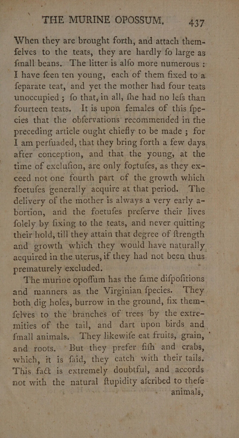 When they are brought forth, and attach them- felves to the teats, they are hardly fo large as {mail beans, The litter is alfo more numerous &gt; _ T have feen ten young, each of them fixed to'a: feparate teat, and yet the mother had four teats unoccupied ; fo that, in all, fhe had no lefs than fourteen teats. It is upon females of this fpe- cies that the obfervations recommended in the. preceding article ought chiefly to be made ; for I am perfuaded, that they bring forth a few days after conception, and that the young, at the time of exclufion, are only fogtufes, as they ex- ceed not one fourth part of the growth which delivery of the mother is always a very early a- bortion, and the foetufes preferve their lives folely by fixing to the teats, and never quitting their hold, till they attain that degree of ftrength and growth which they would have naturally 7 acquired i in the uterus, if they had not been thus prematurely excluded. The murine opoffum has the fame difpofitions and manners as the Virginian fpecies. They both dig holes, burrow in the ground, fix them-_ felves to the branches of trees by the extre- mities of the tail, and dart upon birds and fmall animals. They likewife eat fruits, grain, ‘ and roots. “But they prefer fith and crabs, “which, it is faid, they catch with their tails. » This, fact is extremely doubtful, and accords not with the HA ftupidity afcribed to thefe: ; animals,