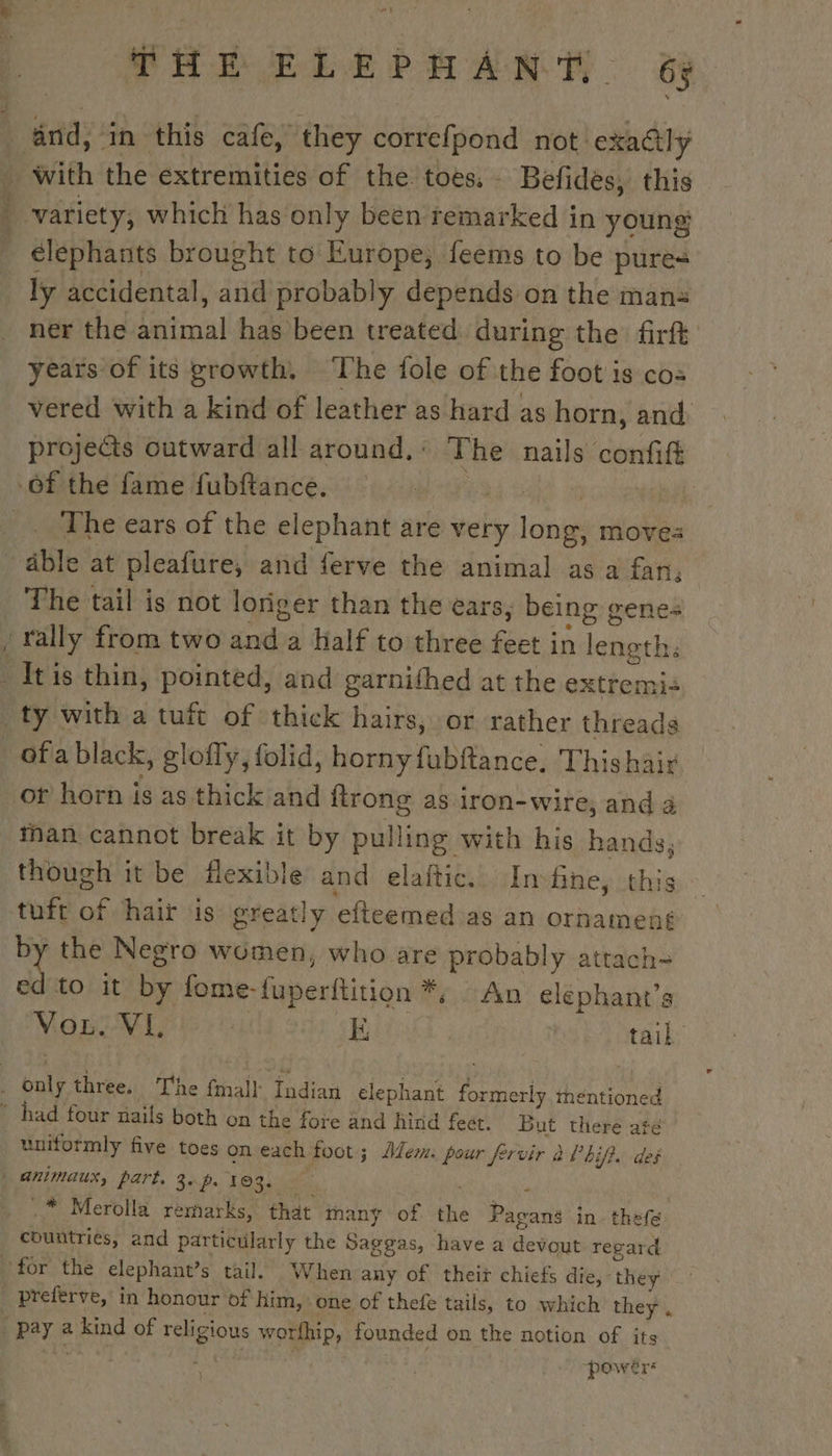 éléphants brought to Europe, feems to be pures ly accidental, and probably depends on the man= ner the animal has been treated during the firft years: of its growth, The fole of the foot is cos vered with a kind of leather as hard as horn, and: projects outward all around, : The nails confift The ears of the elephant are very ‘cu moves ~ The tail is not loriger than the ears; being genes ofa black, glofly, folid, horny fubftance. Thishair ot horn is as thick and ftrong as iron-wire, and à man cannot break it by pulling with his hands, though it be flexible and elaftic. In fe, this tuft of hair is greatly efteemed as an ornament by the Negro women, who are probably attach- ed to it by fome- fuperftition *, , An elephant’s Vou. VE | ik tail animaux, part. 3+ . 193. :* Merolla remarks, that many of the Pie gang in thefe. countries, and particularly the Saggas, have a Sedat regard preferve, in honour of him, one of thefe tails, to which they, powèr
